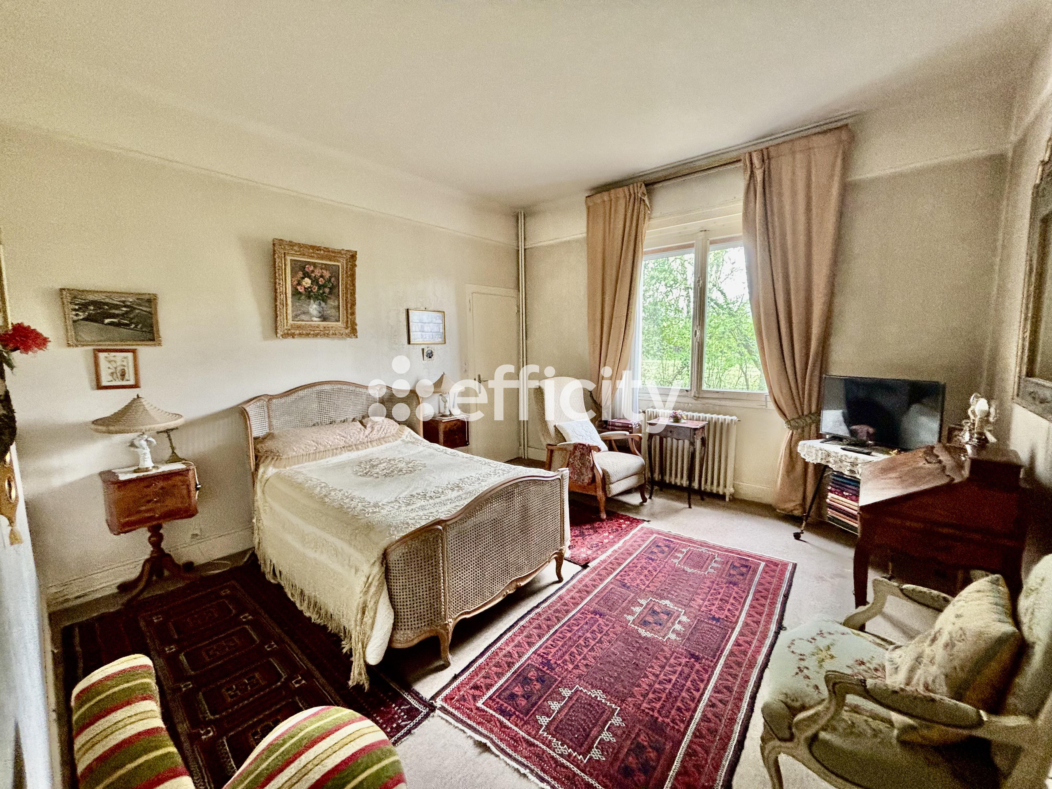 Achat immobilier Maison 11 pièces  303m2 à Saint-Georges-sur-Moulon (18110) - Photo n°8