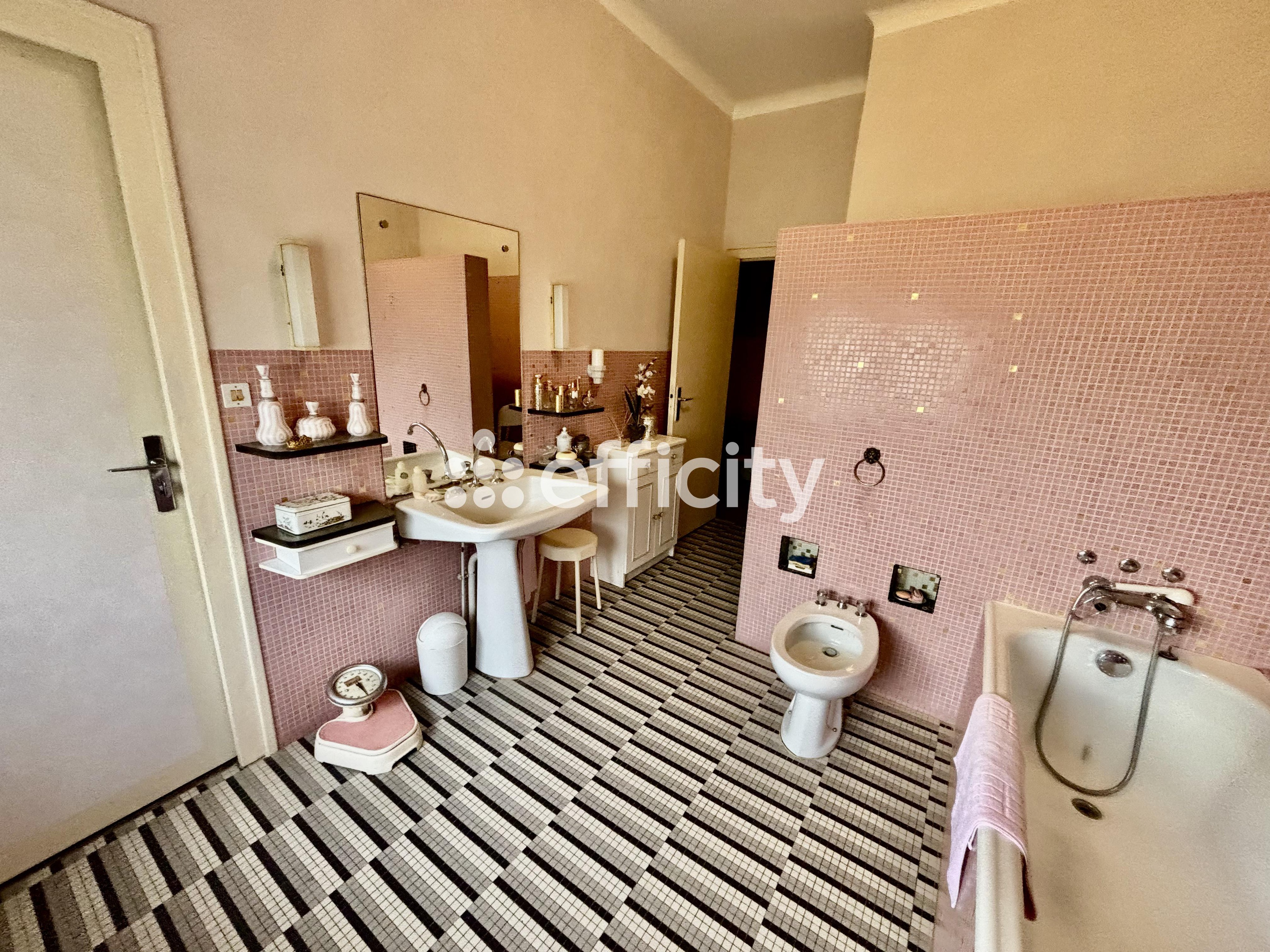 Achat immobilier Maison 11 pièces  303m2 à Saint-Georges-sur-Moulon (18110) - Photo n°9
