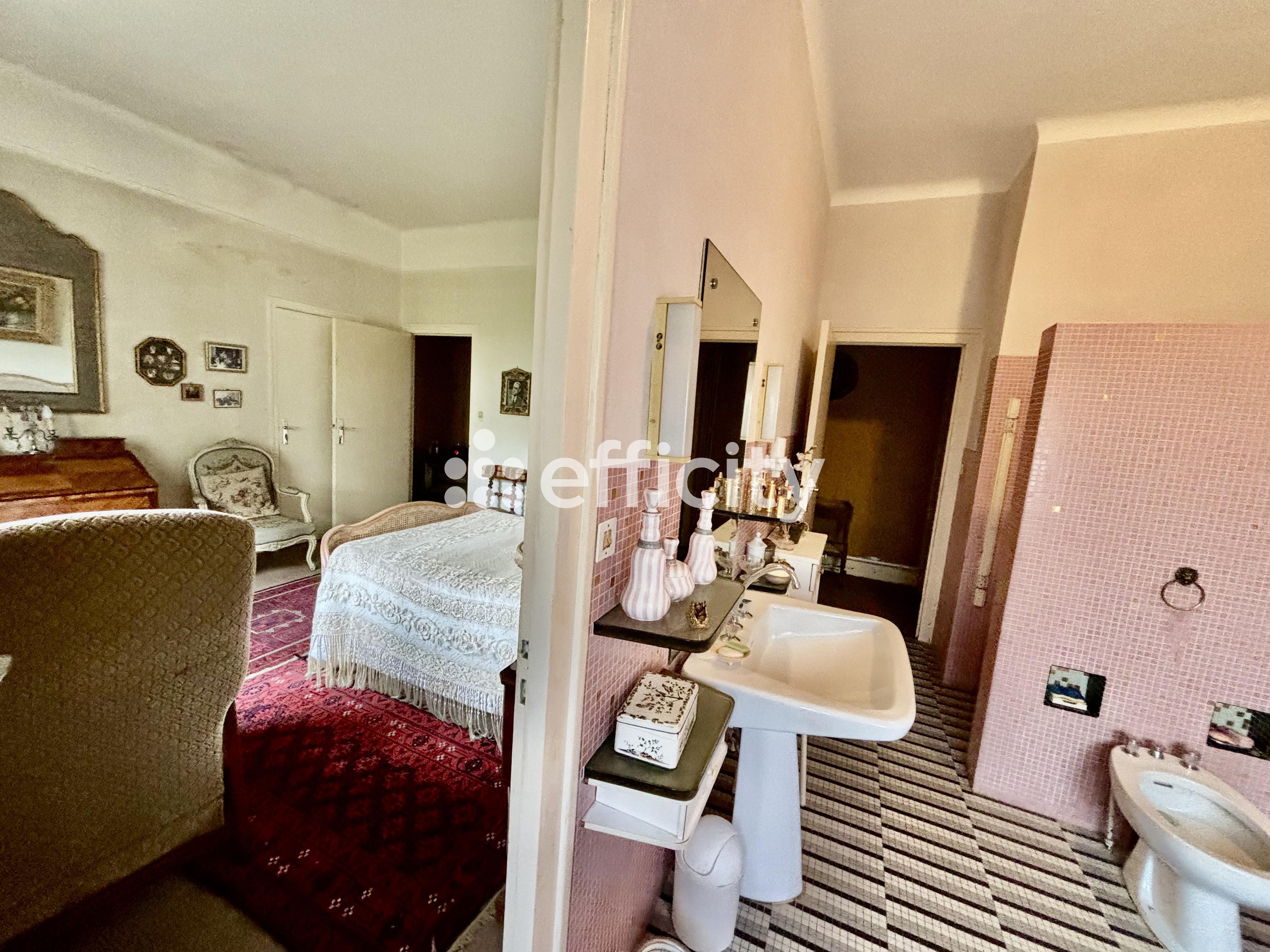 Achat immobilier Maison 11 pièces  303m2 à Saint-Georges-sur-Moulon (18110) - Photo n°10