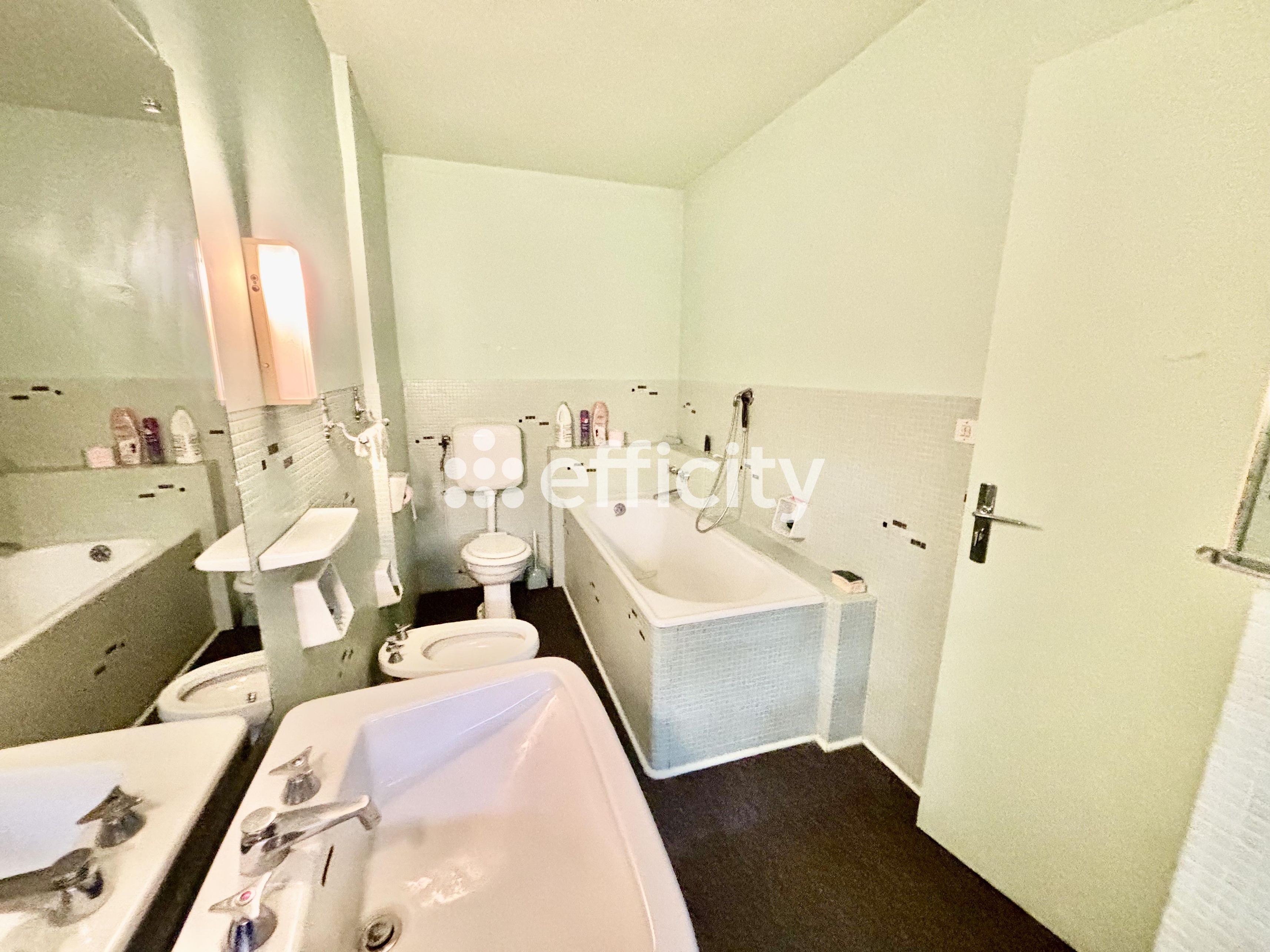Achat immobilier Maison 11 pièces  303m2 à Saint-Georges-sur-Moulon (18110) - Photo n°12