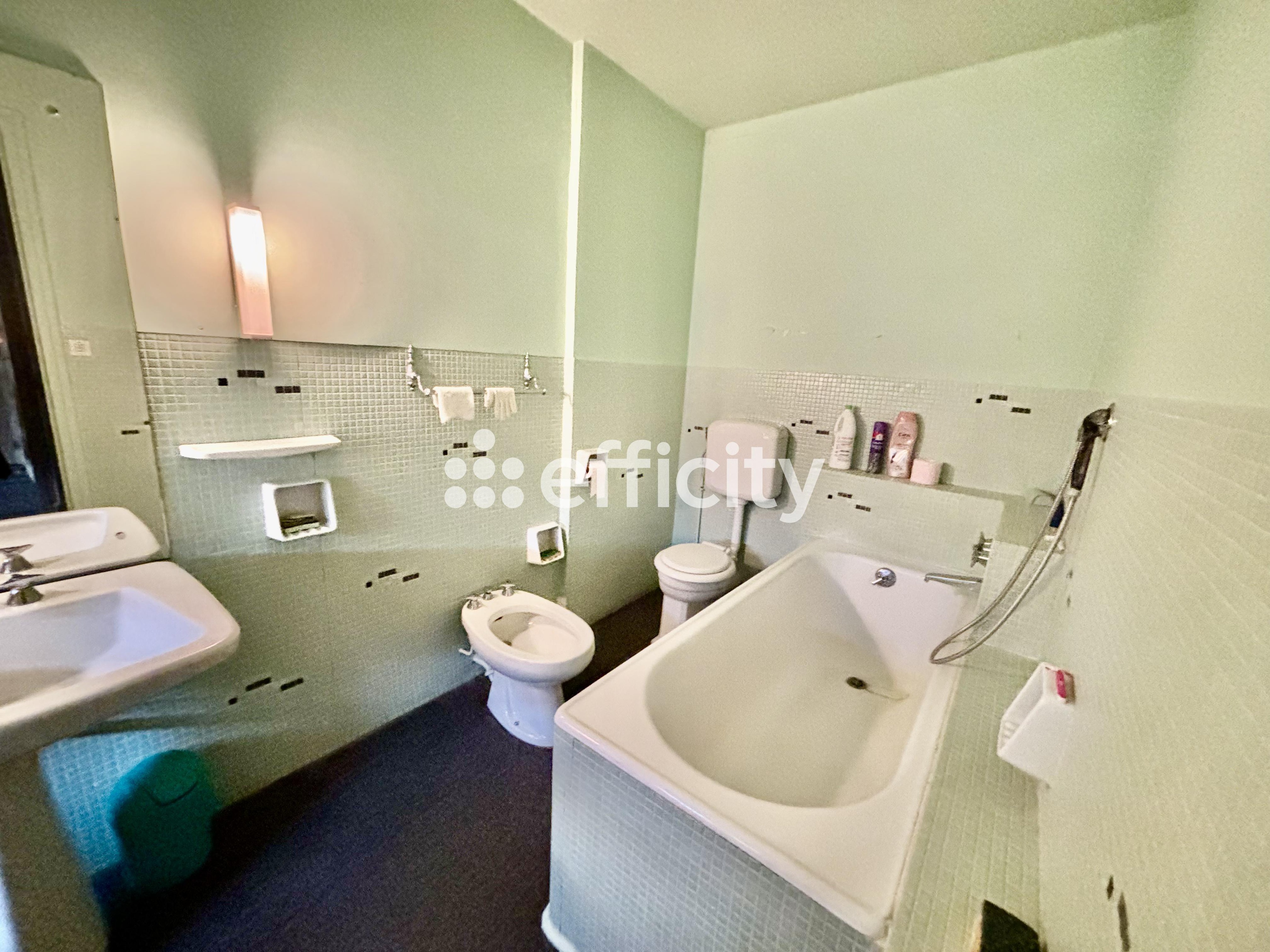 Achat immobilier Maison 11 pièces  303m2 à Saint-Georges-sur-Moulon (18110) - Photo n°13