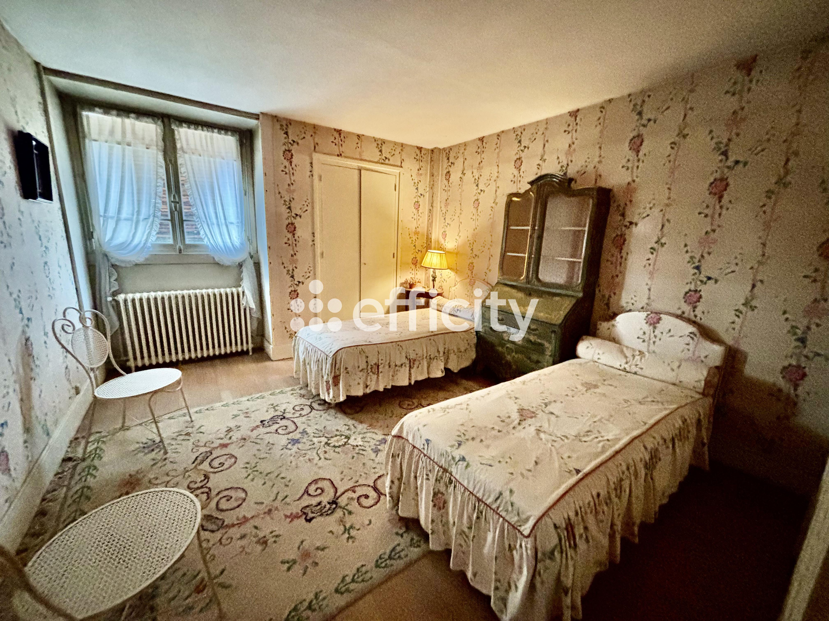 Achat immobilier Maison 11 pièces  303m2 à Saint-Georges-sur-Moulon (18110) - Photo n°14