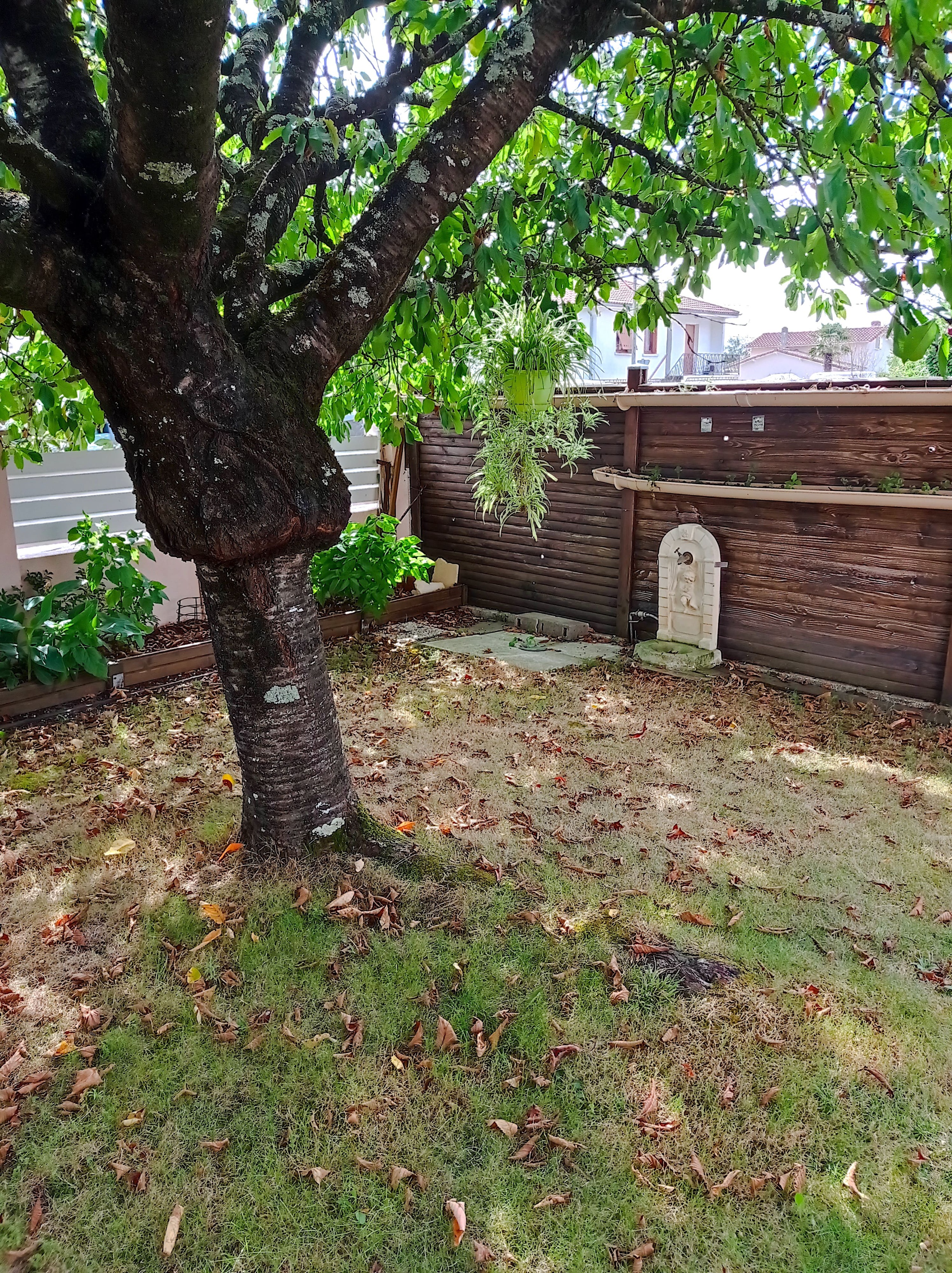 Achat immobilier Maison 6 pièces  125m2 à Saujon (17600) - Photo n°12