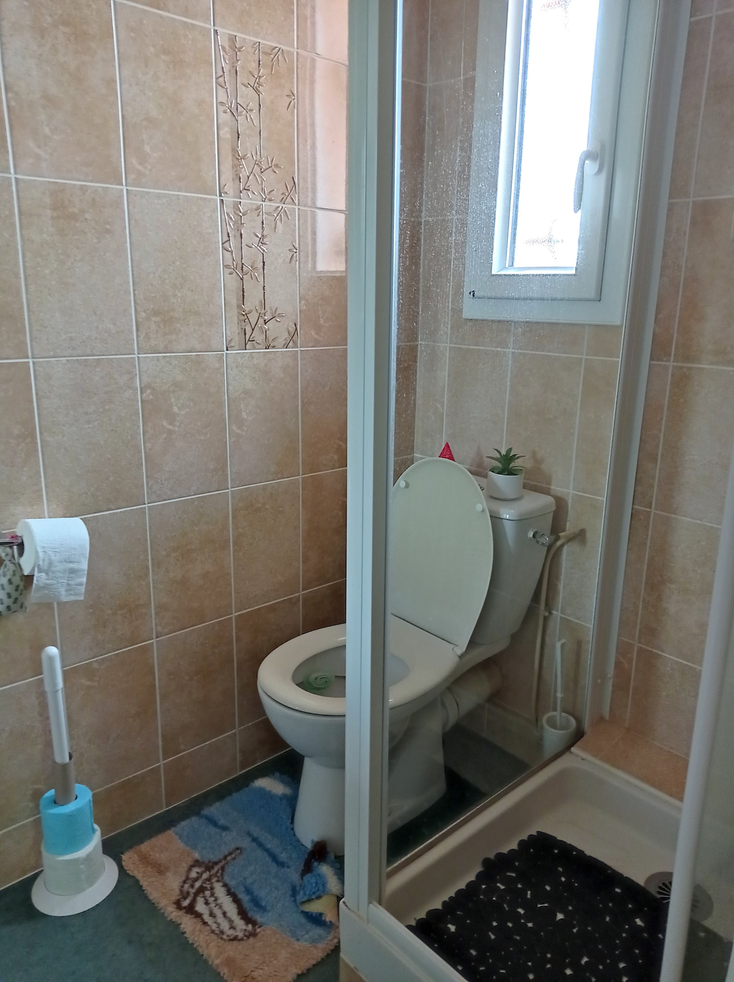 Achat immobilier Maison 6 pièces  125m2 à Saujon (17600) - Photo n°37