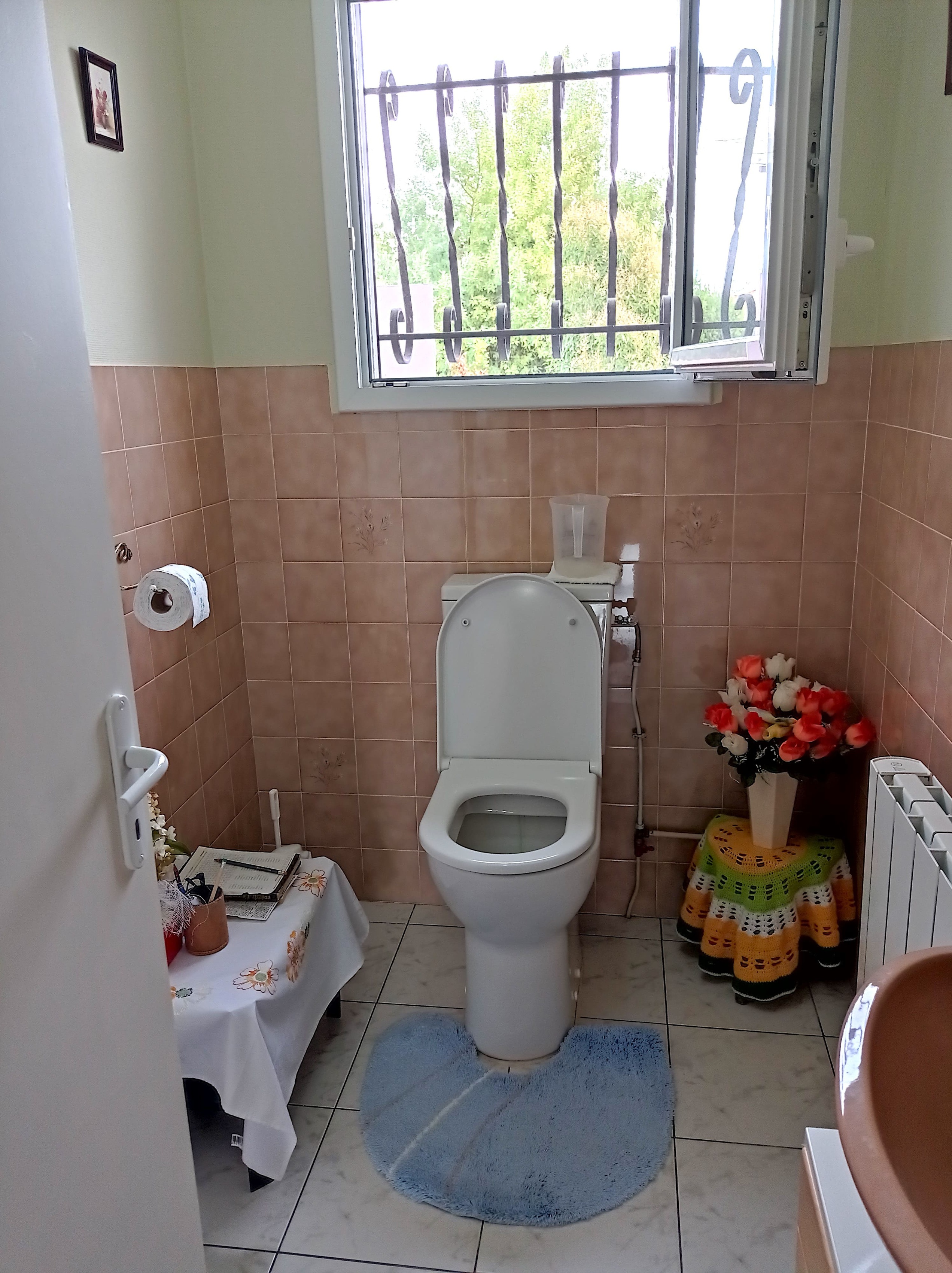 Achat immobilier Maison 6 pièces  125m2 à Saujon (17600) - Photo n°38