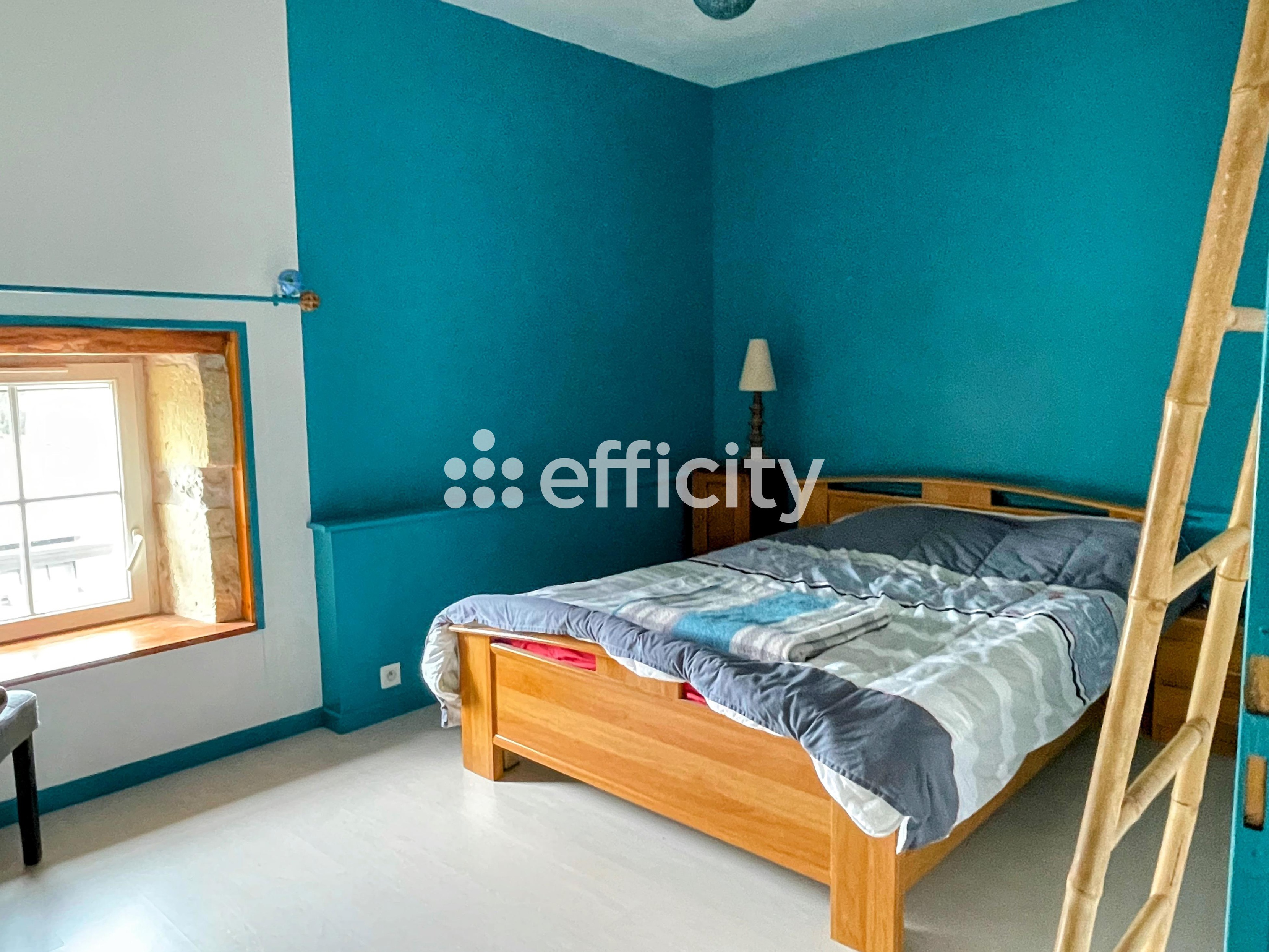 Achat immobilier Maison 5 pièces  148m2 à Voissay (17400) - Photo n°8