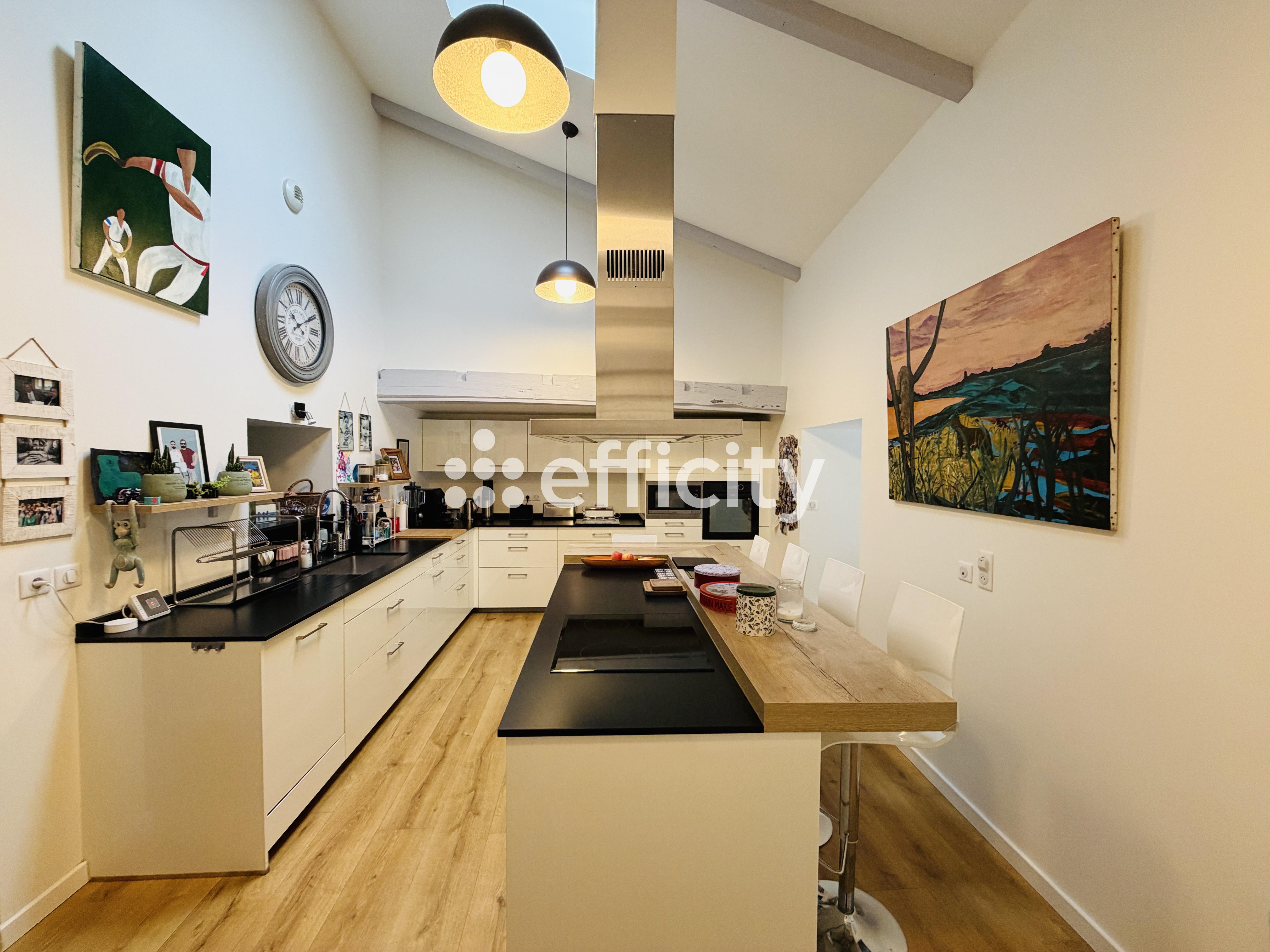 Achat immobilier Maison 8 pièces  300m2 à Peyrehorade (40300) - Photo n°6