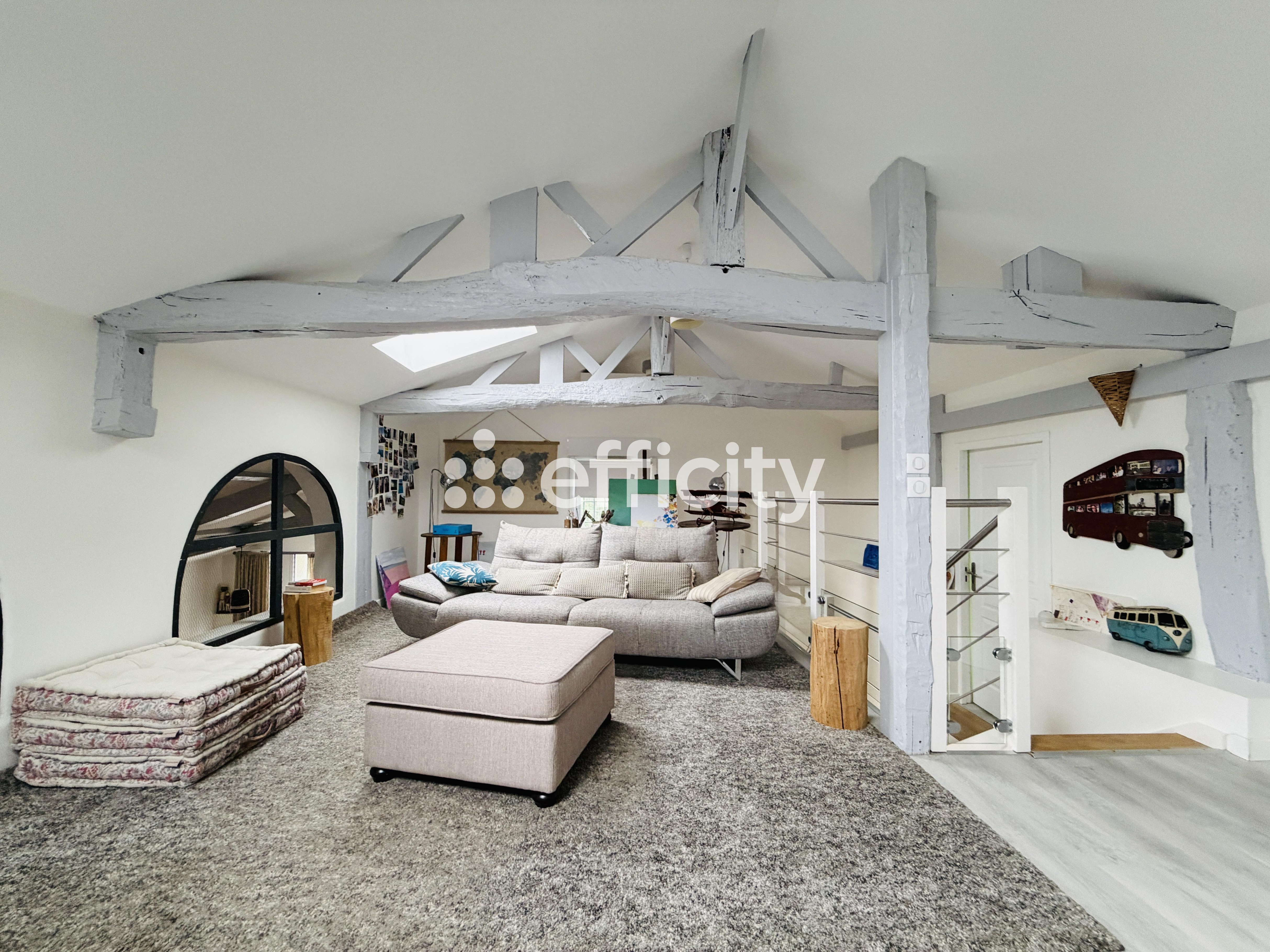 Achat immobilier Maison 8 pièces  300m2 à Peyrehorade (40300) - Photo n°14