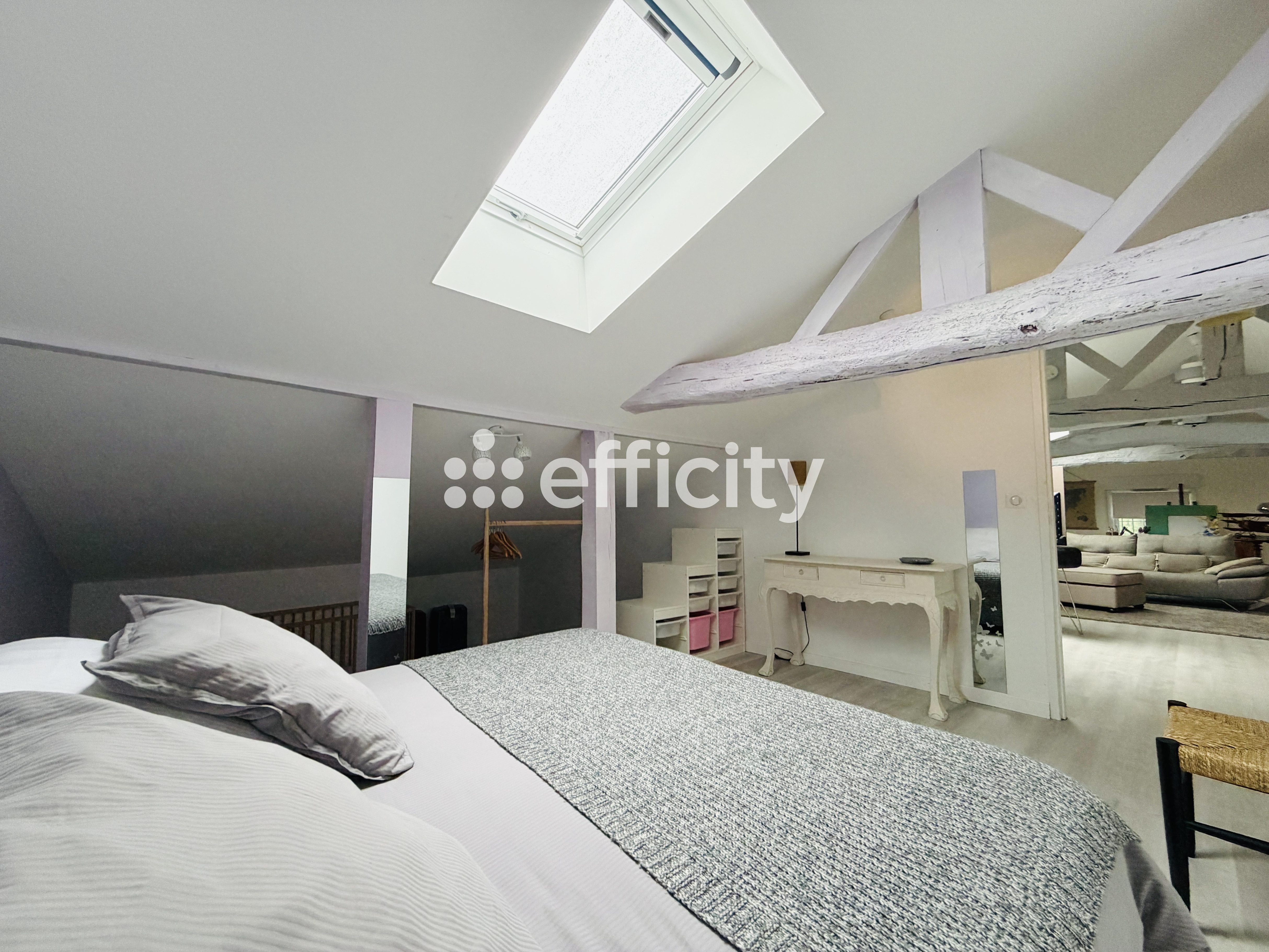 Achat immobilier Maison 8 pièces  300m2 à Peyrehorade (40300) - Photo n°16