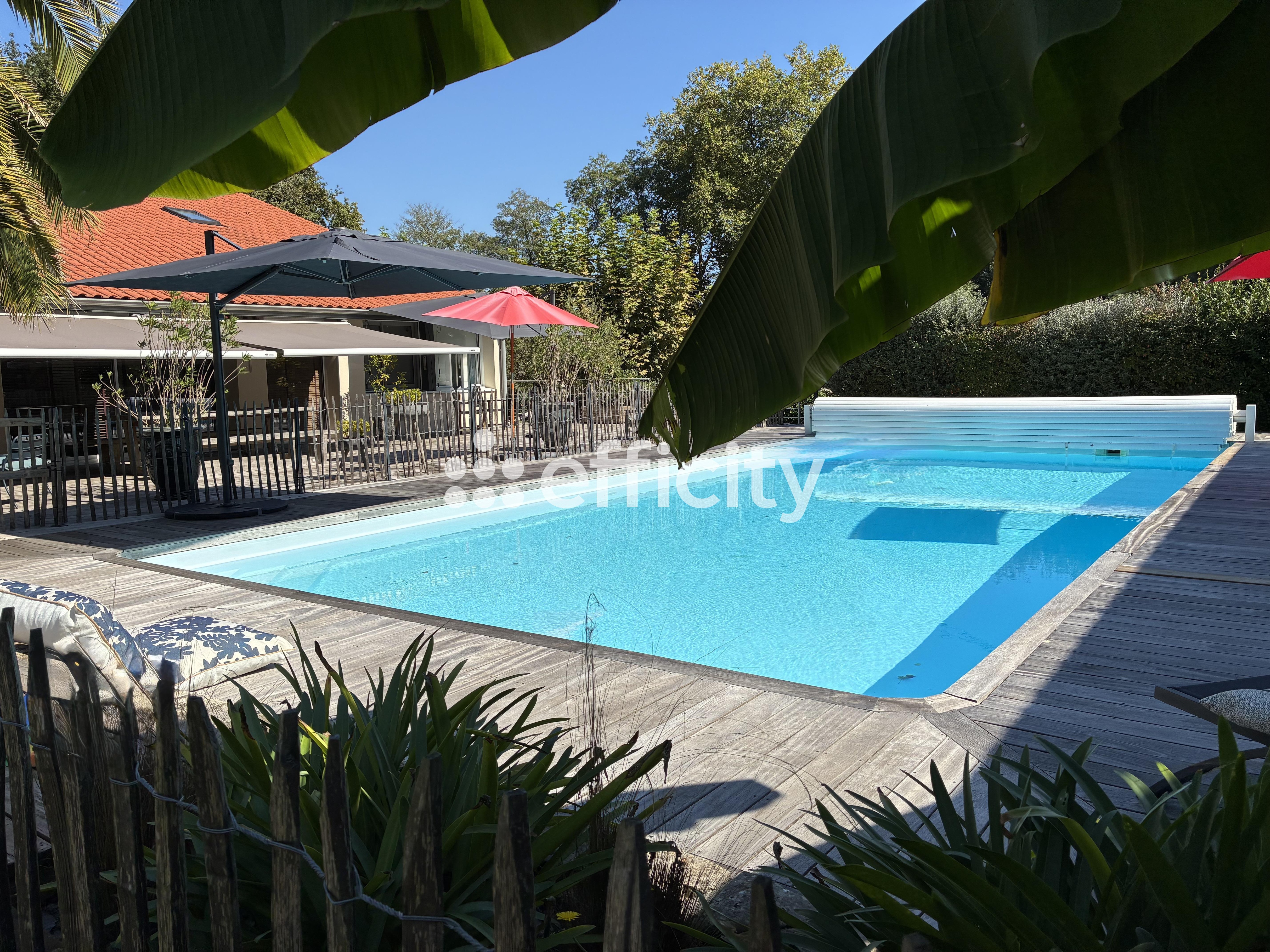 Achat immobilier Maison 8 pièces  300m2 à Peyrehorade (40300) - Photo n°18
