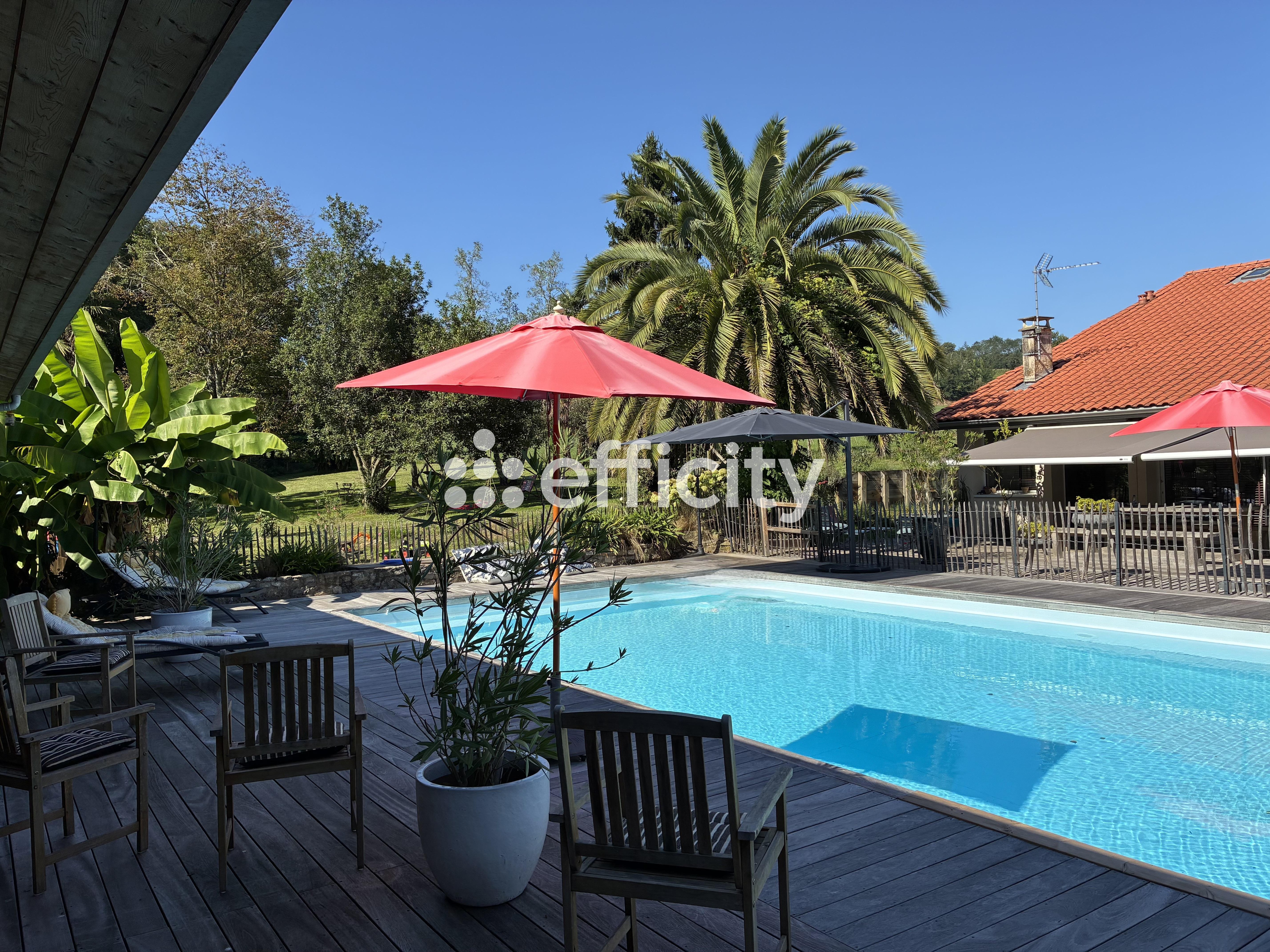 Achat immobilier Maison 8 pièces  300m2 à Peyrehorade (40300) - Photo n°1