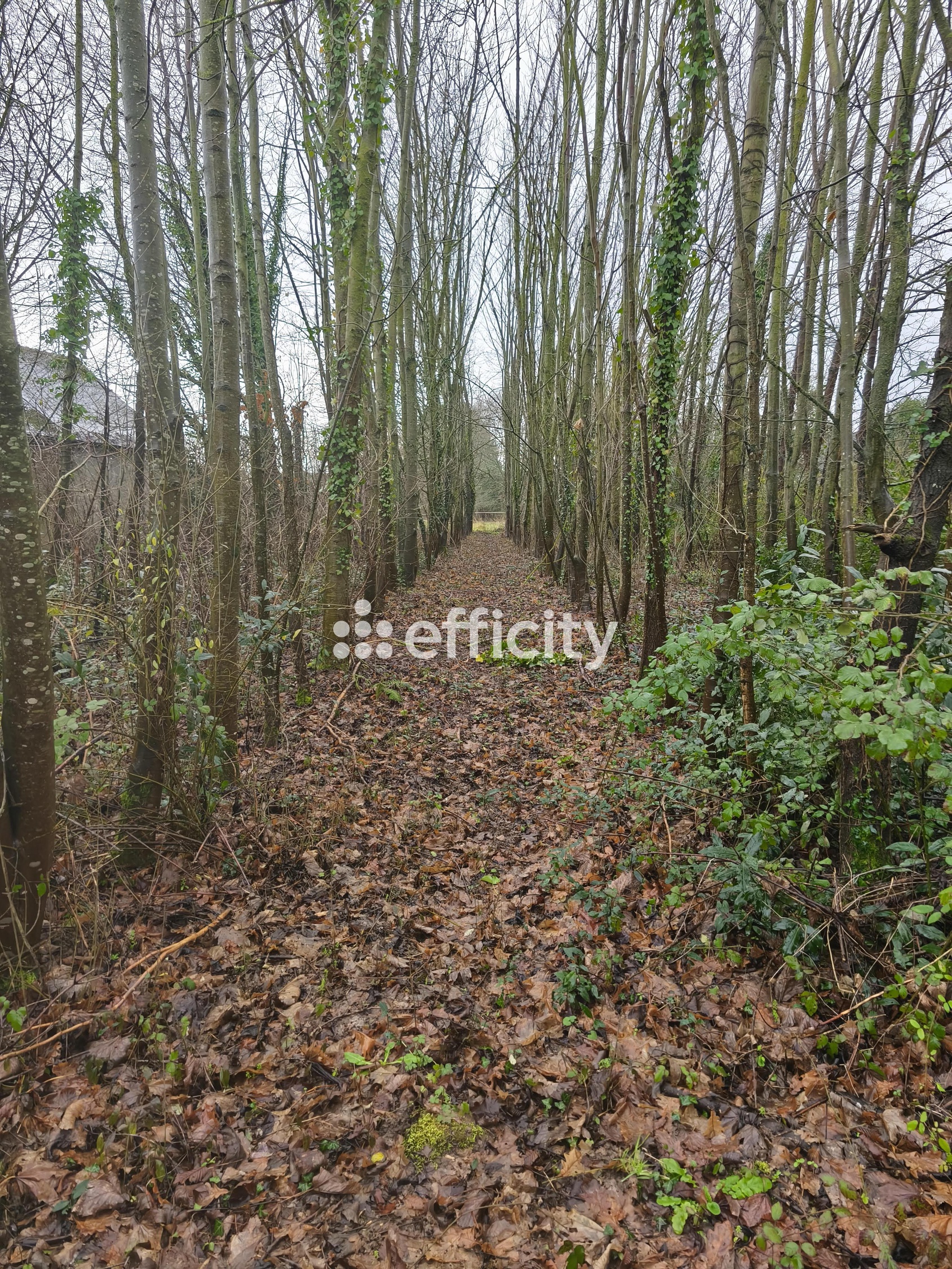 terrain  - 400m2 à Caulnes (22350)