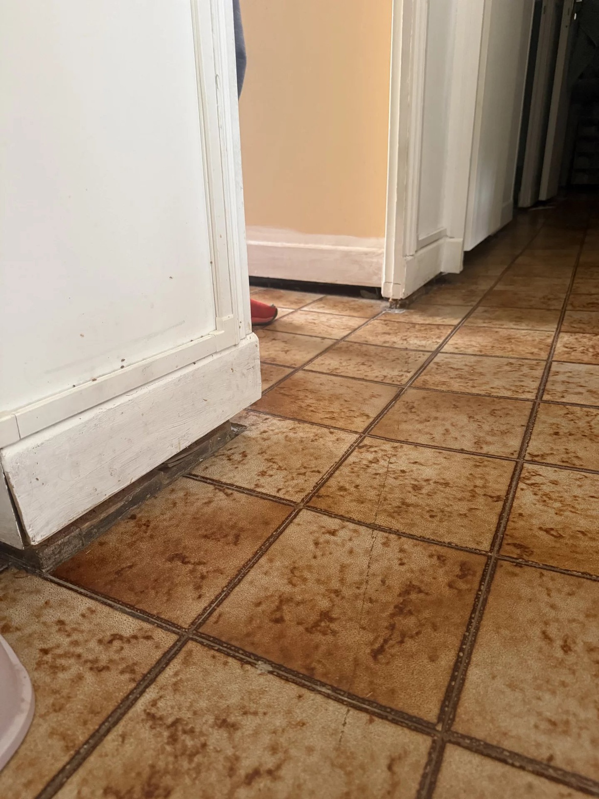 Achat immobilier Maison 3 pièces  74m2 à Charleval (13350) - Photo n°4