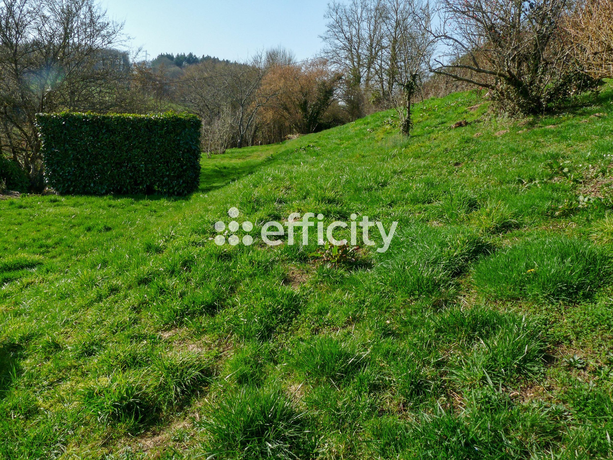 Achat immobilier Immeuble 7 pièces  162m2 à Gueugnon (71130) - Photo n°14