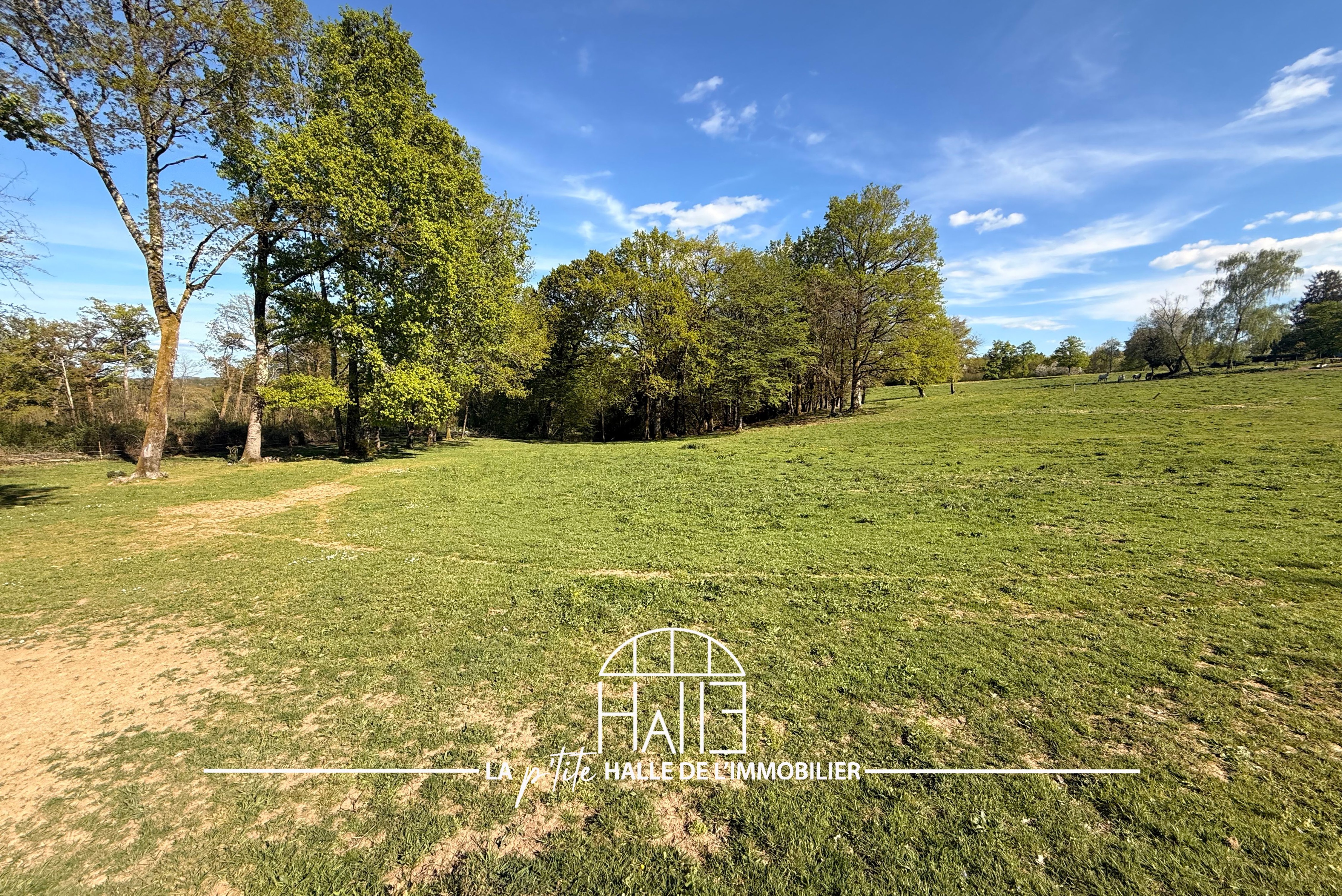 Terrain - Saint-Just-le-Martel