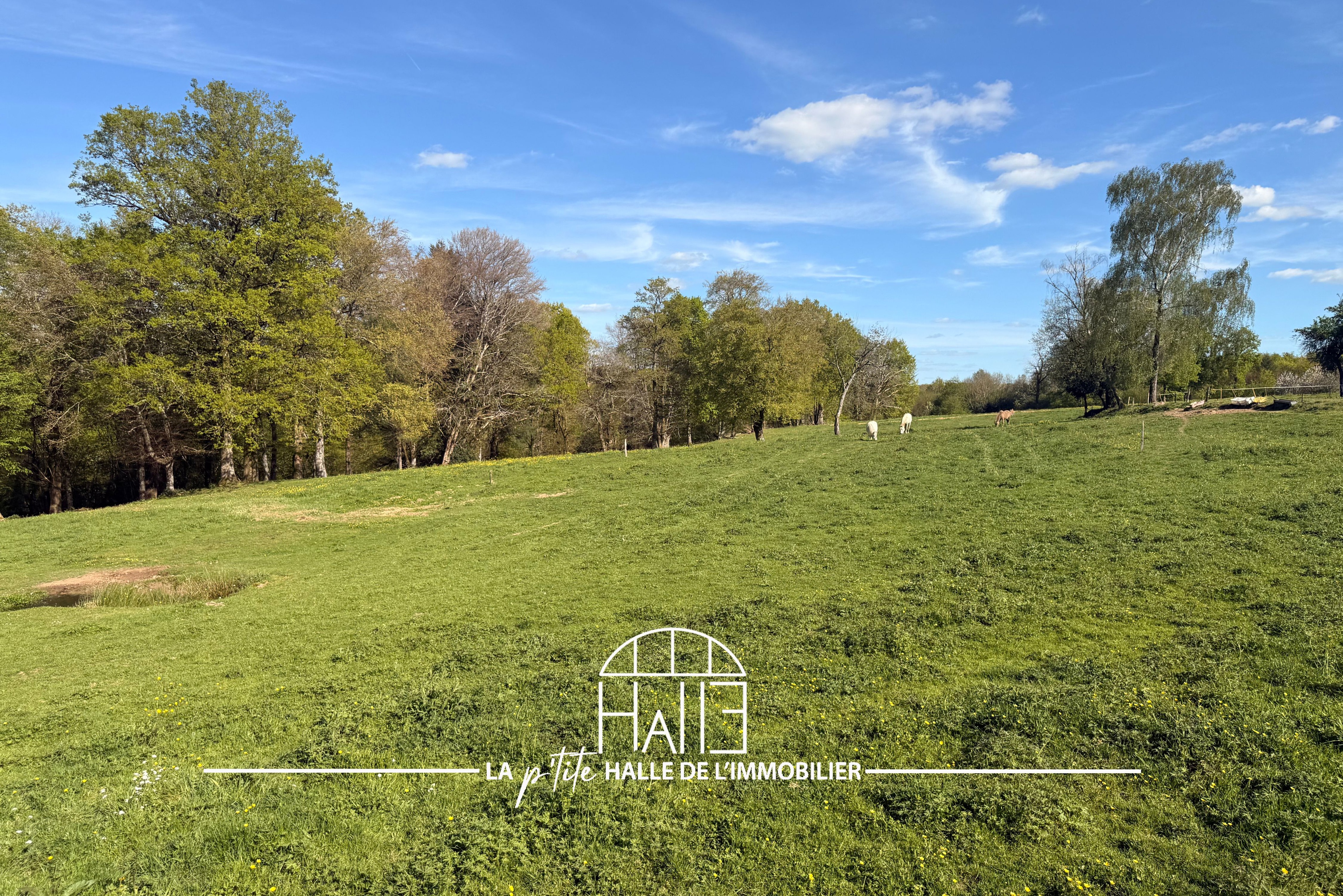 Terrain - Saint-Just-le-Martel