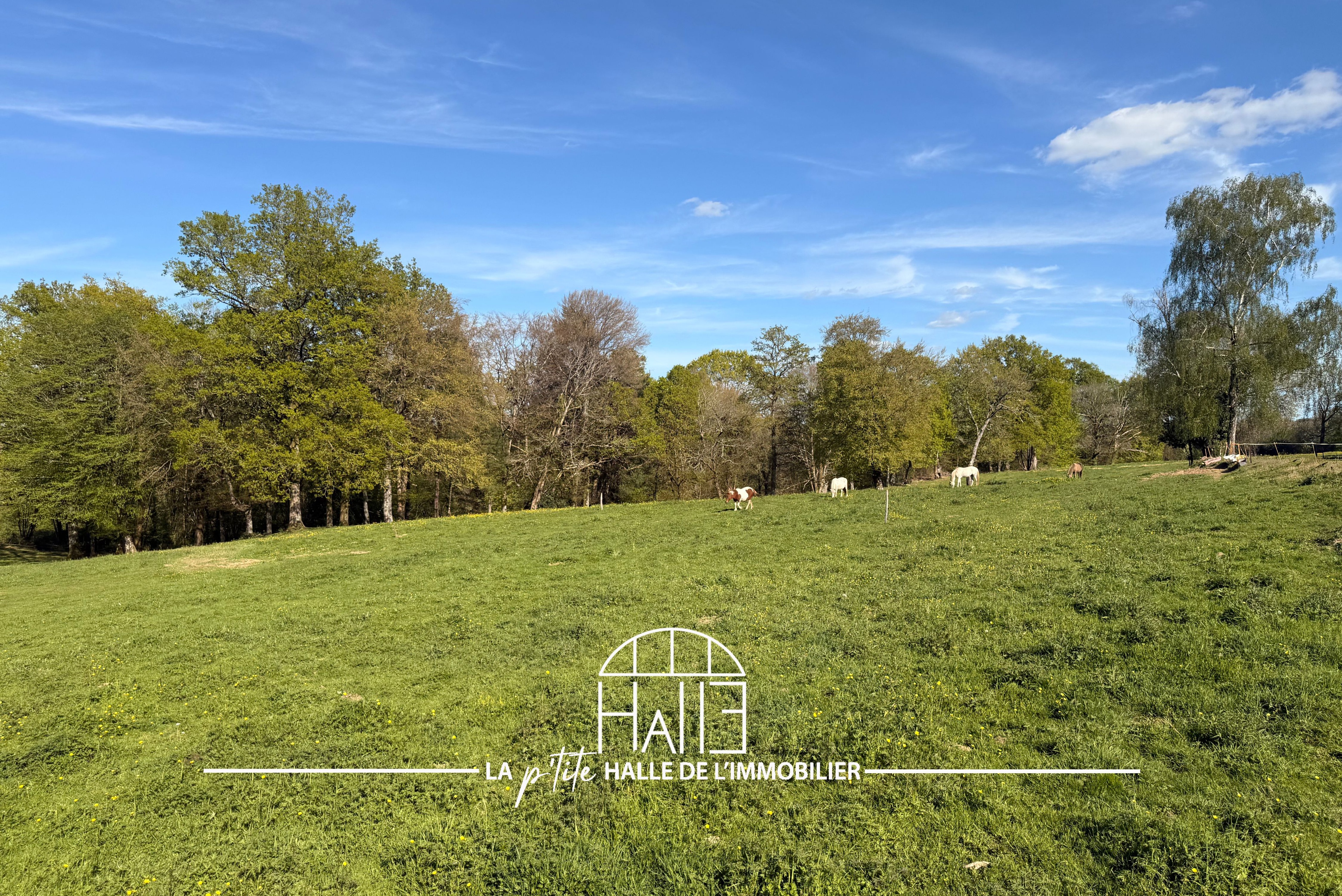 Terrain - Saint-Just-le-Martel