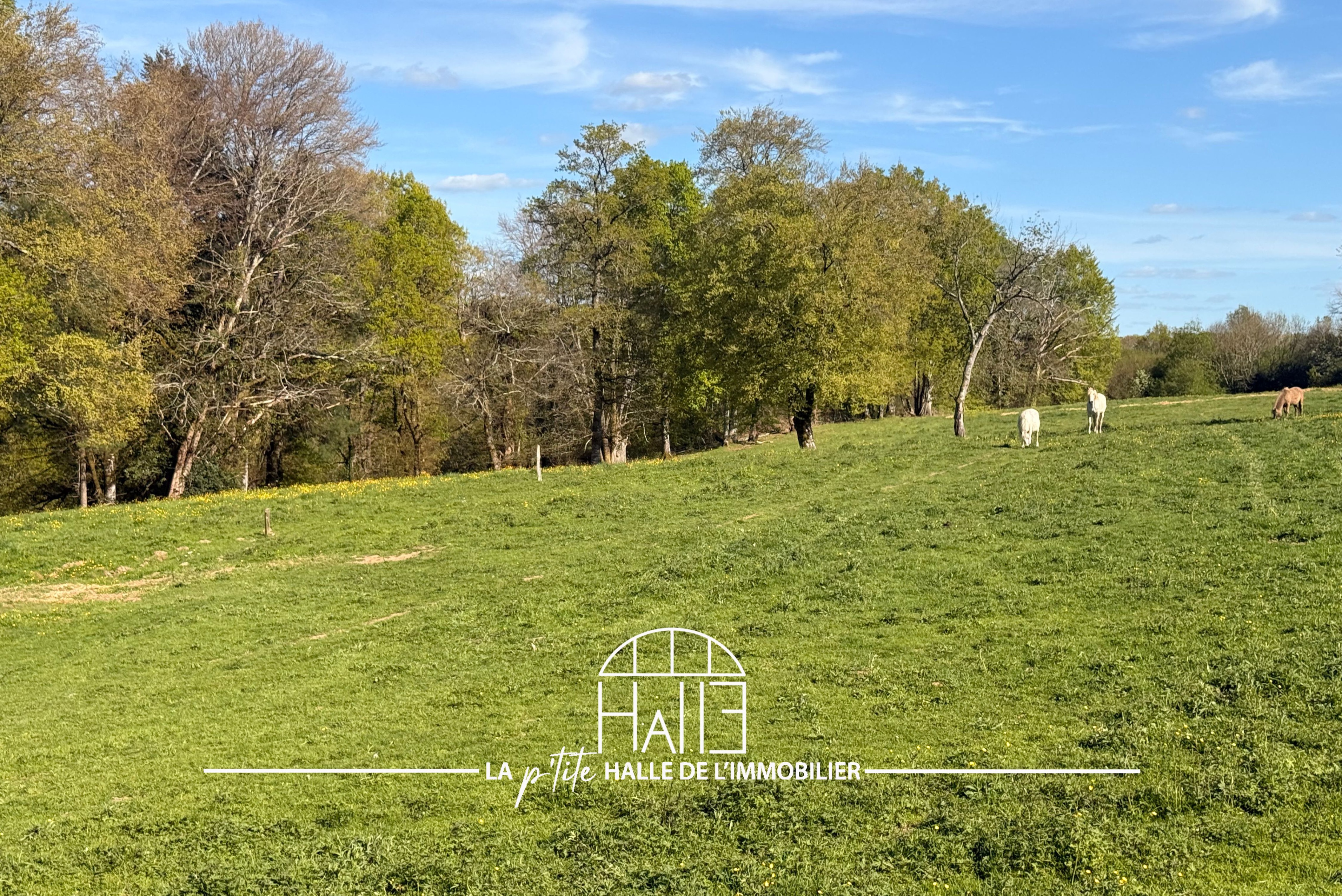 Terrain - Saint-Just-le-Martel