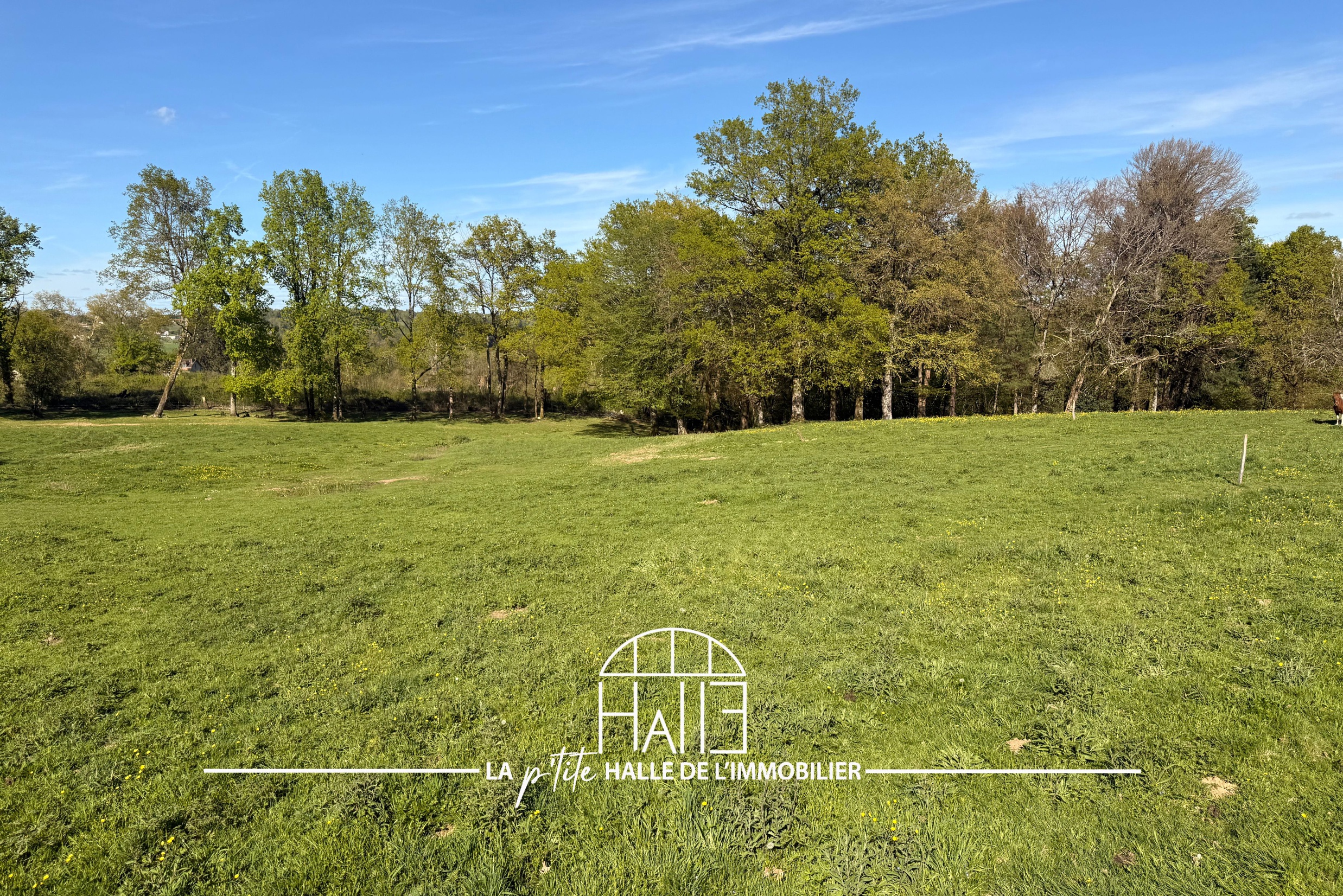 terrain  - 2321,0m2 à Saint-Just-le-Martel (87590)