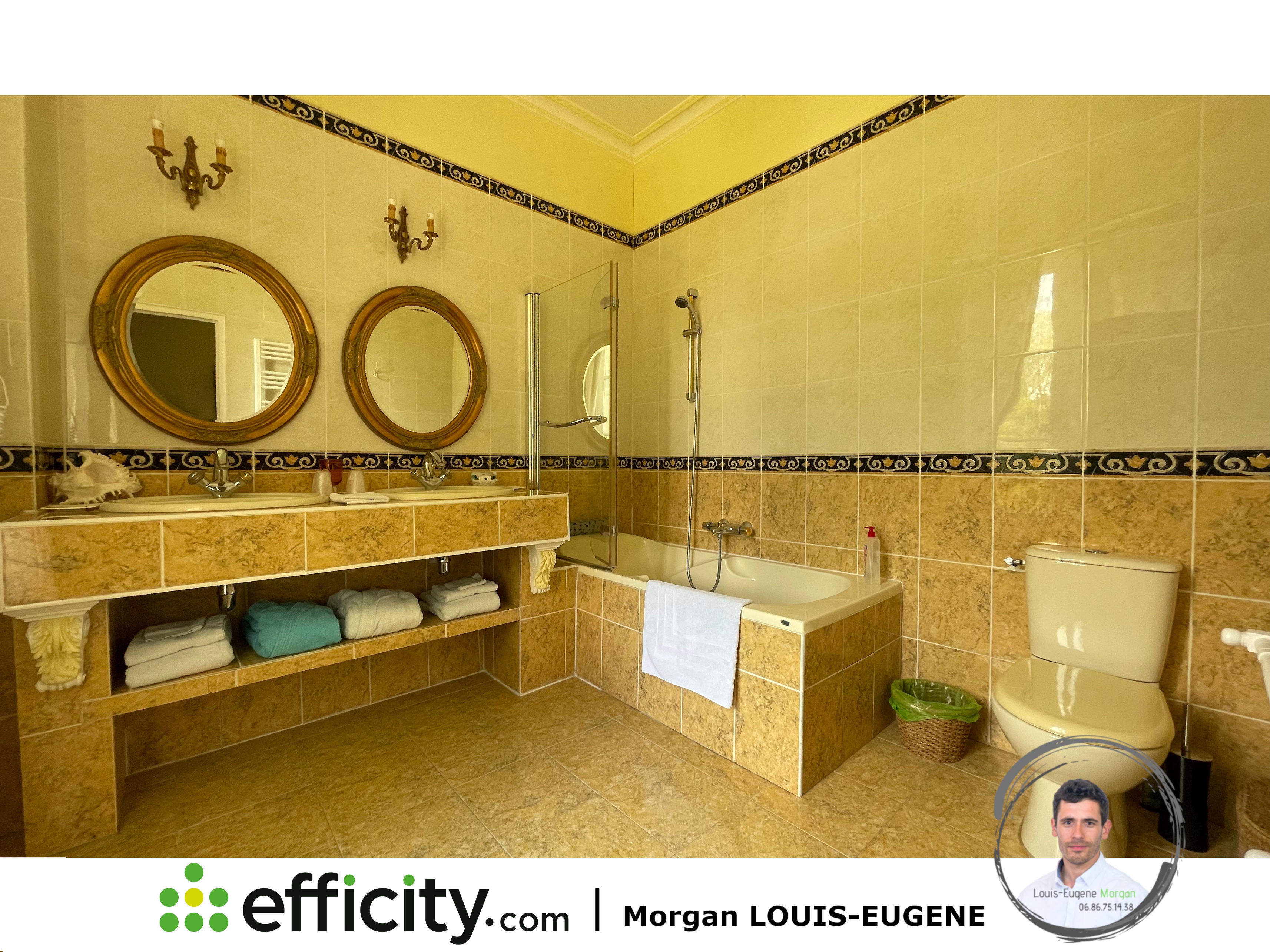 Achat immobilier Maison 30 pièces  1555m2 à Tournon-Saint-Pierre (37290) - Photo n°10