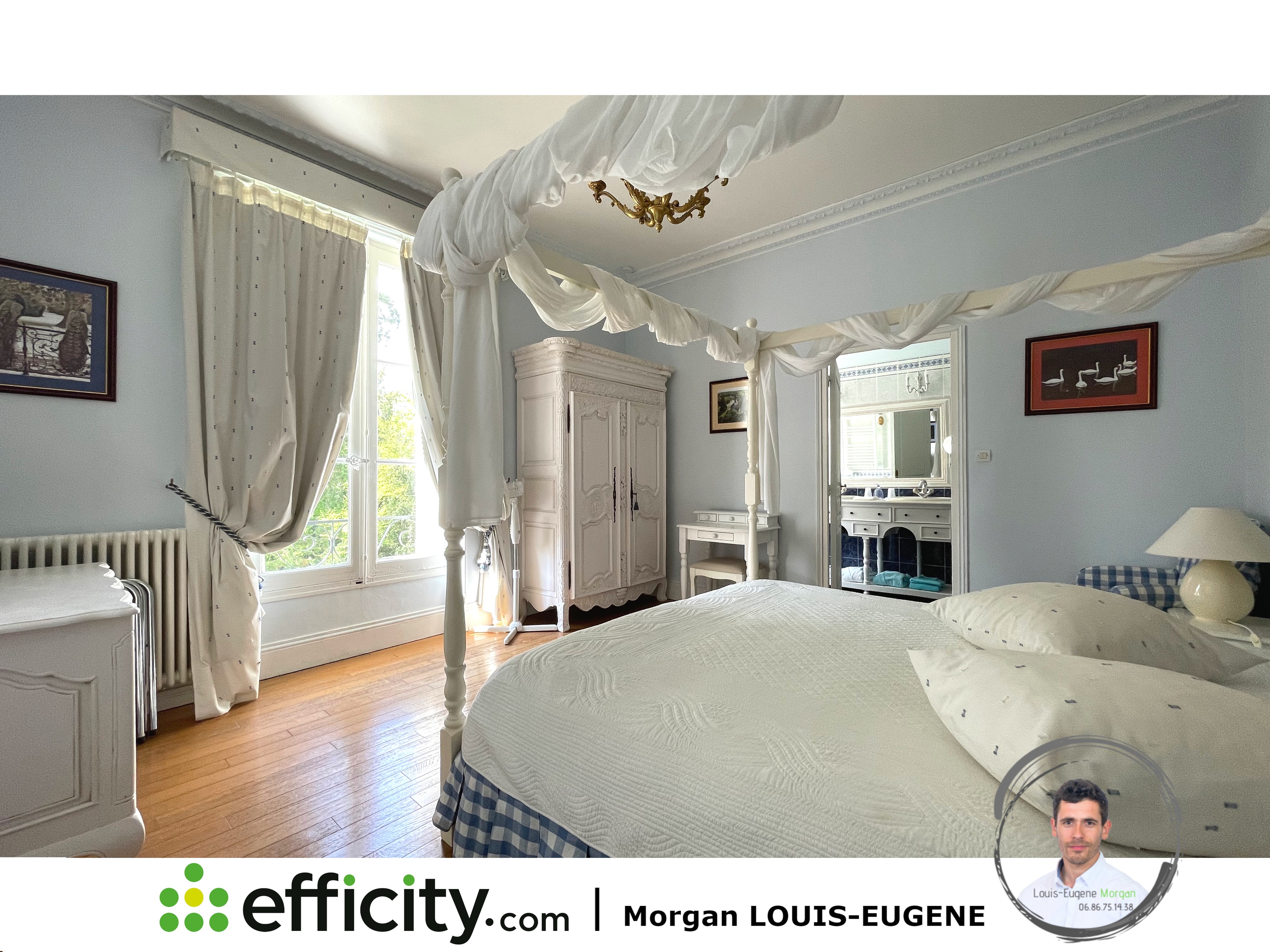 Achat immobilier Maison 30 pièces  1555m2 à Tournon-Saint-Pierre (37290) - Photo n°11