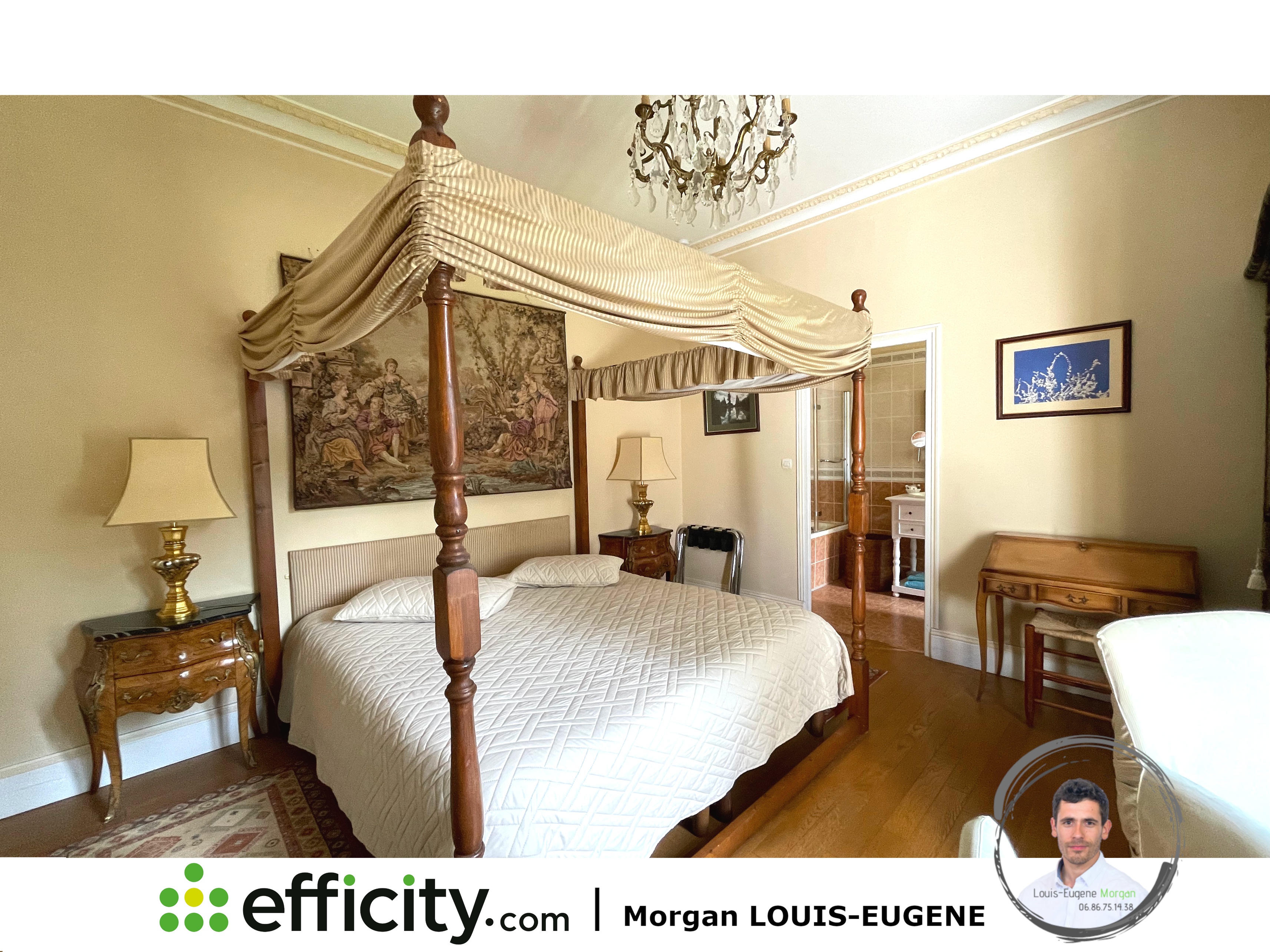Achat immobilier Maison 30 pièces  1555m2 à Tournon-Saint-Pierre (37290) - Photo n°12