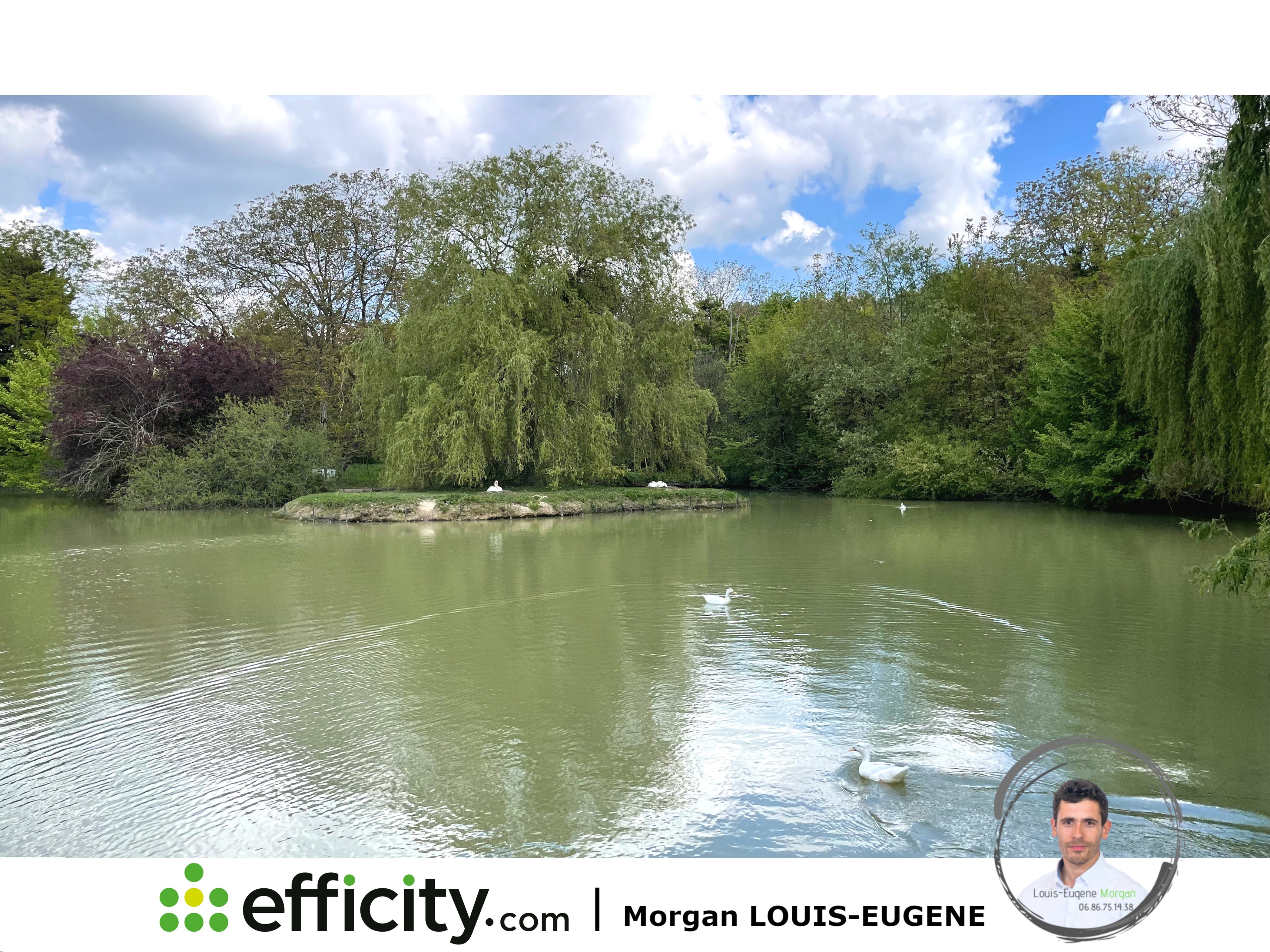 Achat immobilier Maison 30 pièces  1555m2 à Tournon-Saint-Pierre (37290) - Photo n°15