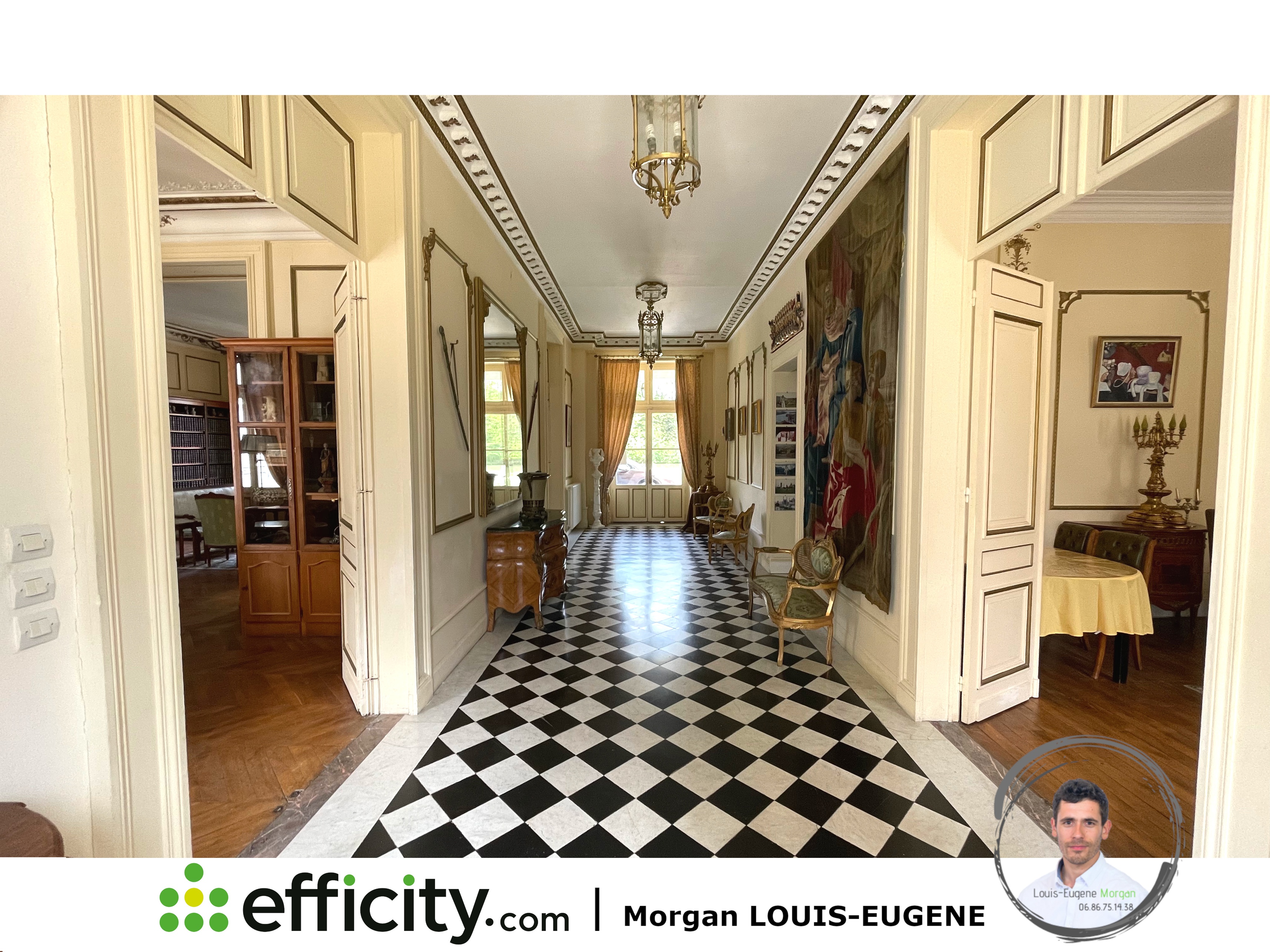 Achat immobilier Maison 30 pièces  1555m2 à Tournon-Saint-Pierre (37290) - Photo n°5