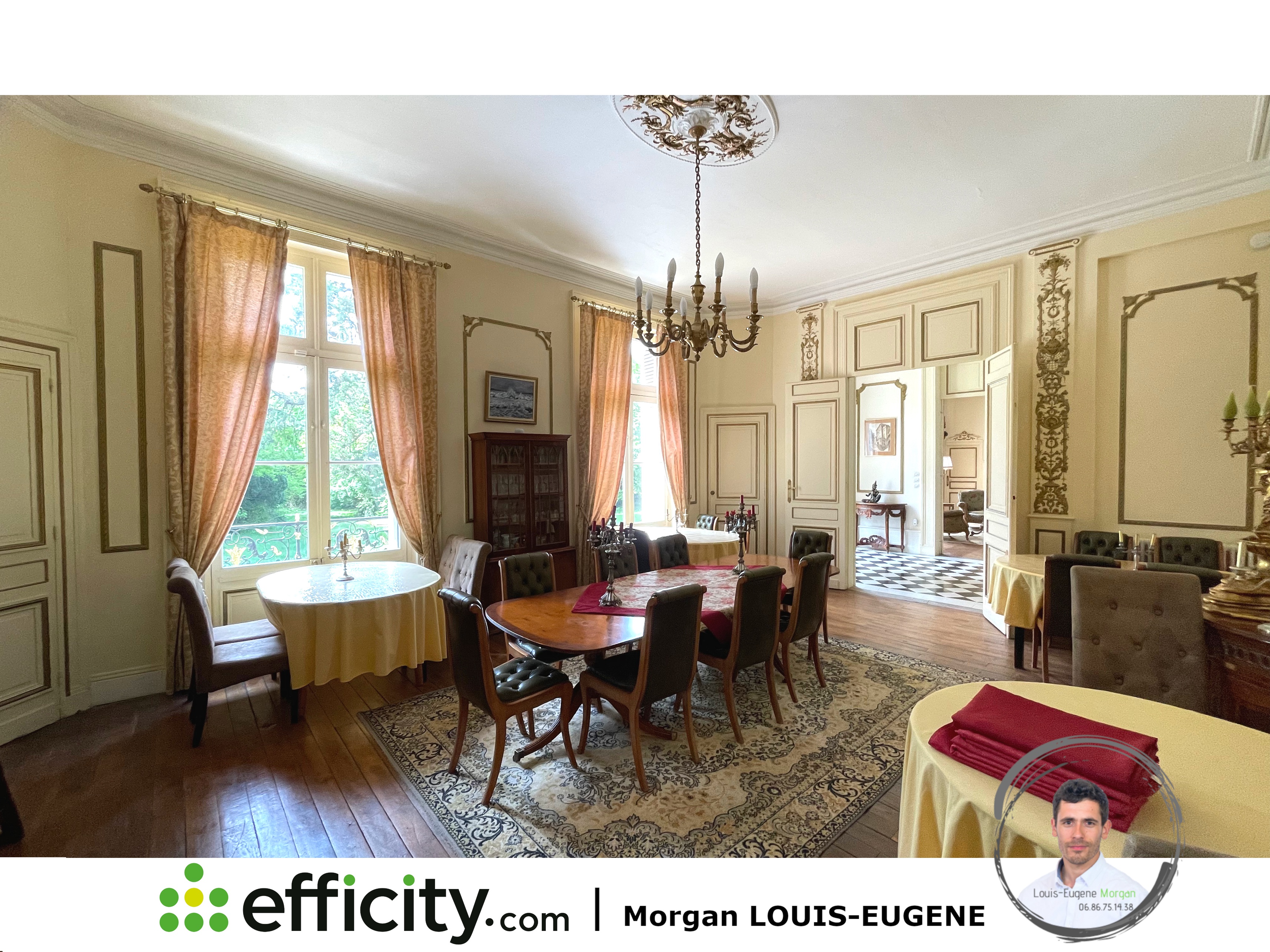 Achat immobilier Maison 30 pièces  1555m2 à Tournon-Saint-Pierre (37290) - Photo n°6