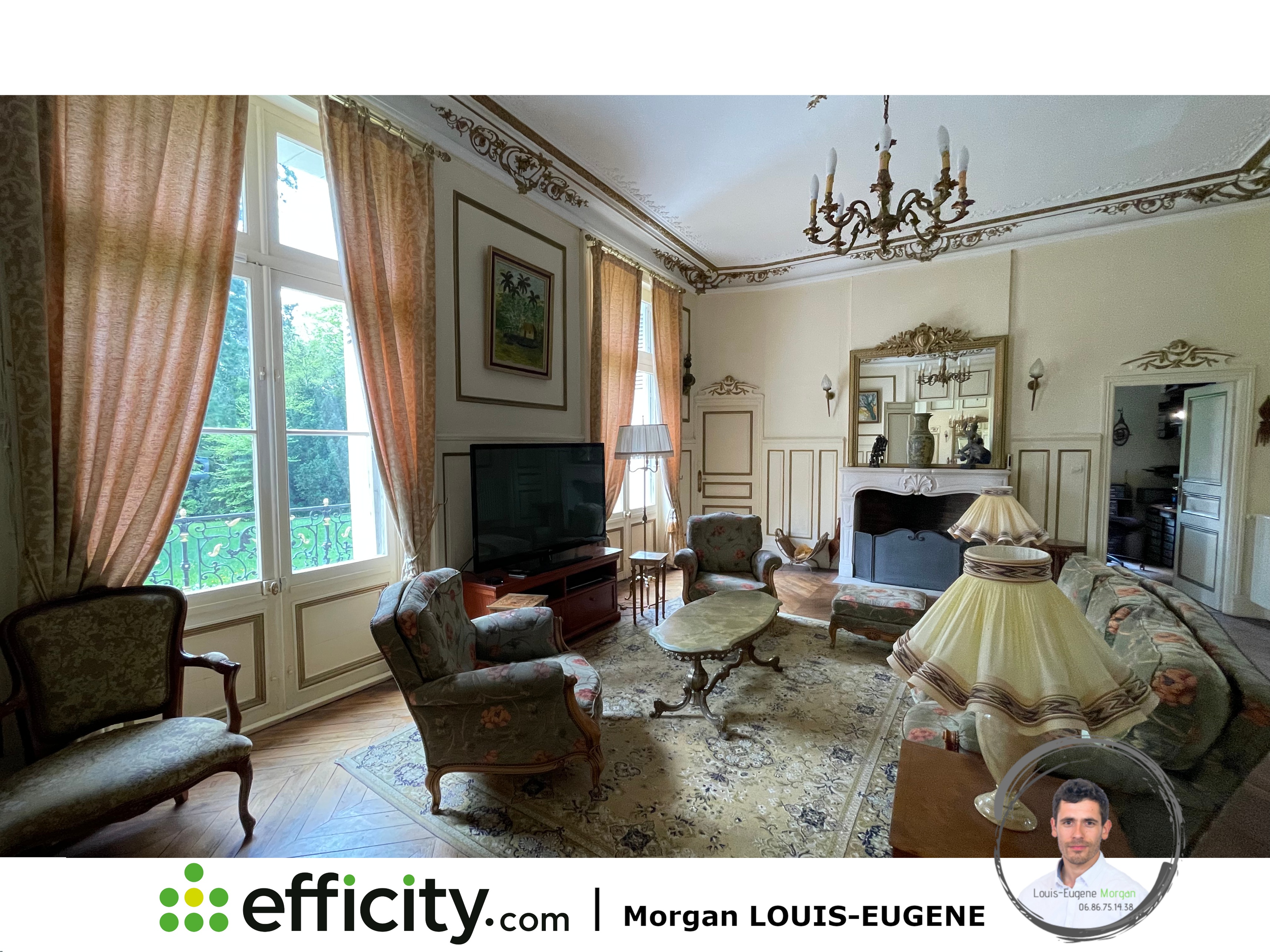 Achat immobilier Maison 30 pièces  1555m2 à Tournon-Saint-Pierre (37290) - Photo n°8