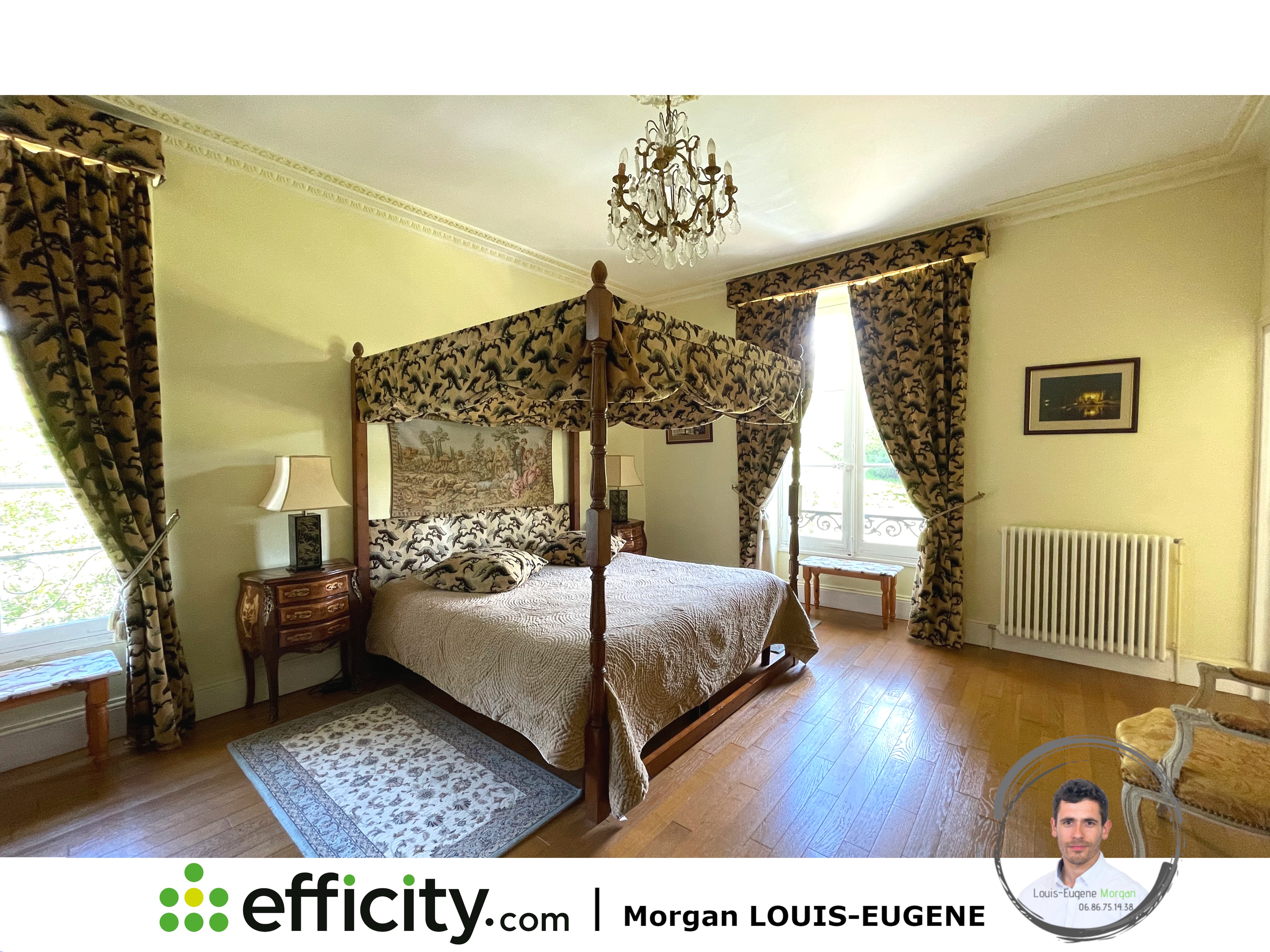Achat immobilier Maison 30 pièces  1555m2 à Tournon-Saint-Pierre (37290) - Photo n°9