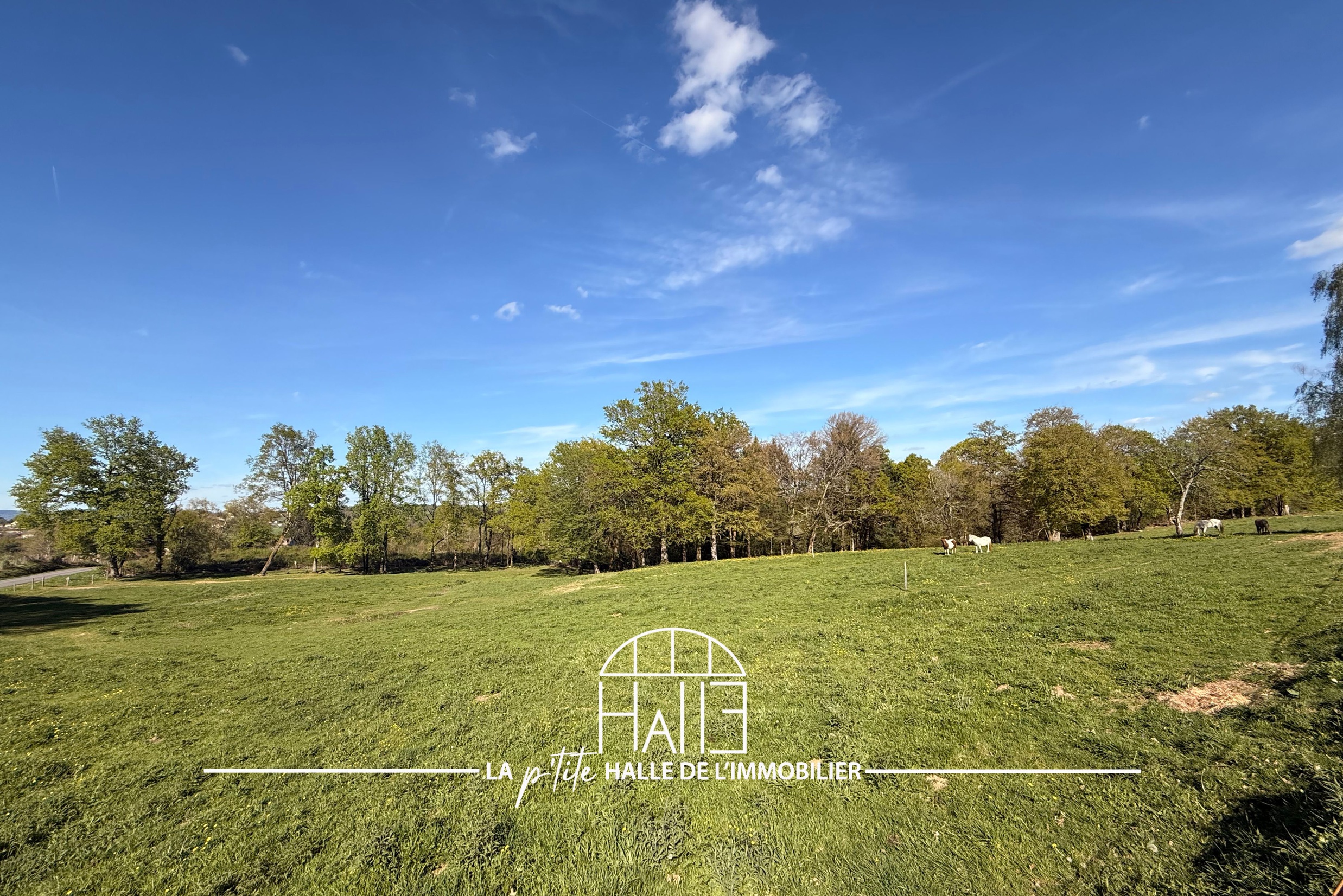 terrain  - 2253,0m2 à Saint-Just-le-Martel (87590)