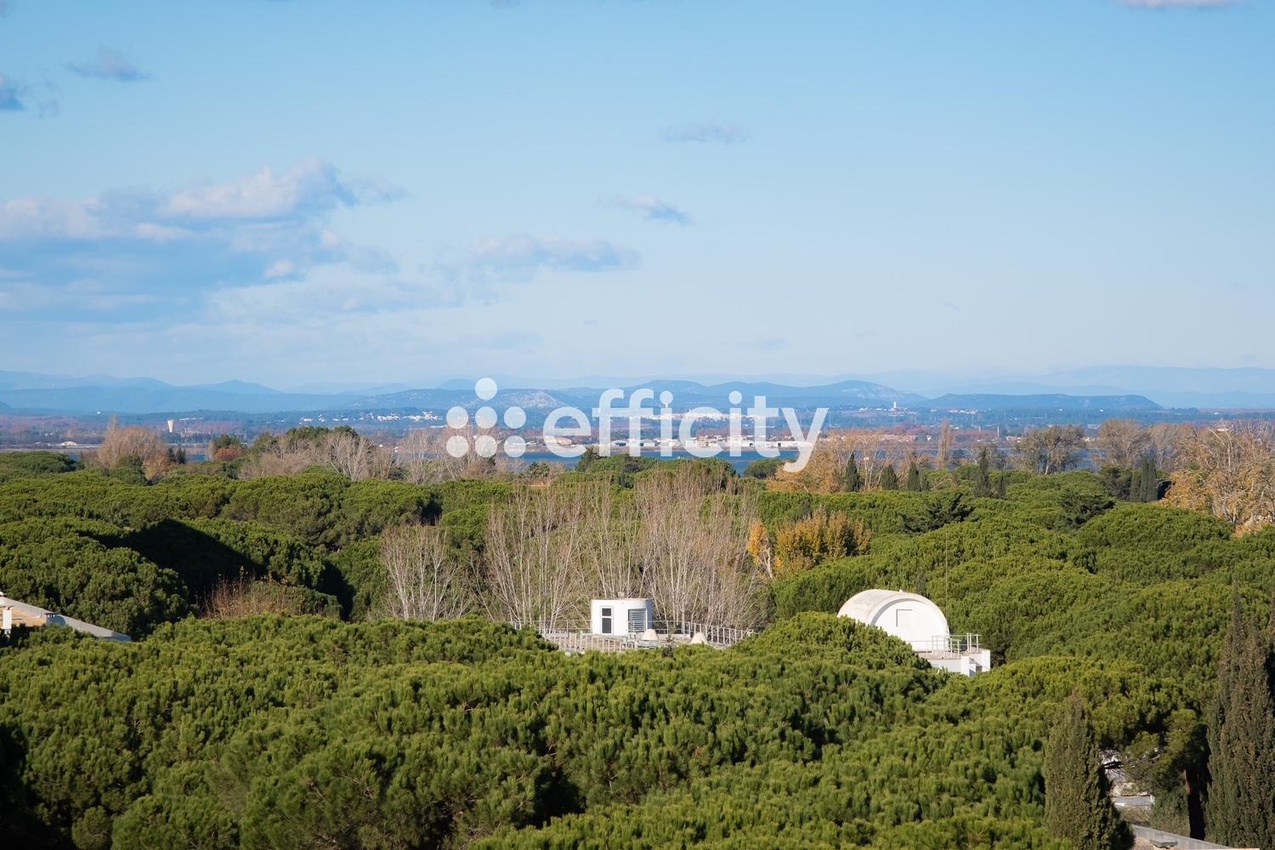 Achat immobilier Appartement 2 pièces  37m2 à La Grande-Motte (34280) - Photo n°12