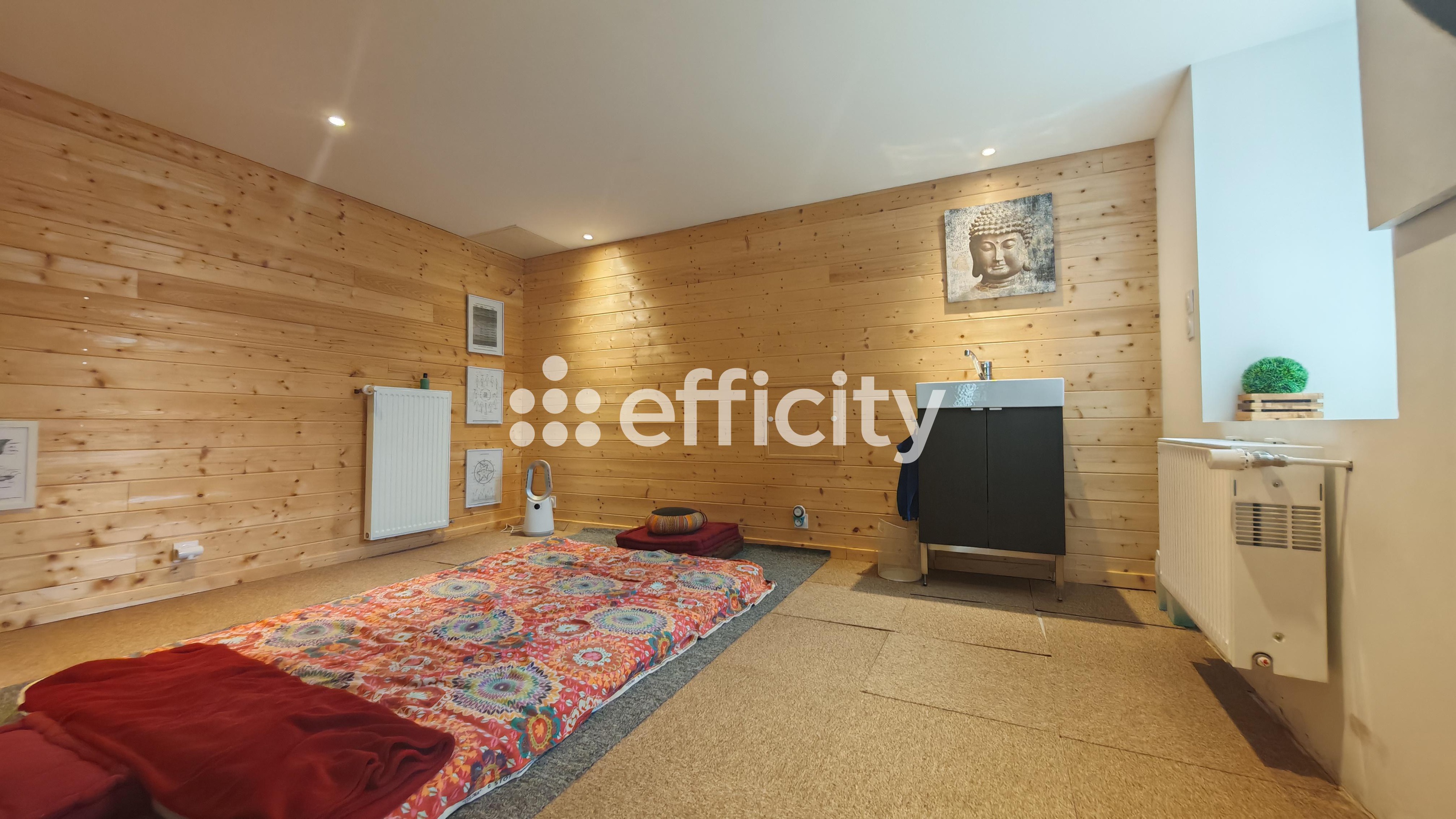 Achat immobilier Maison 5 pièces  146m2 à Villages du Lac de Paladru (38850) - Photo n°15