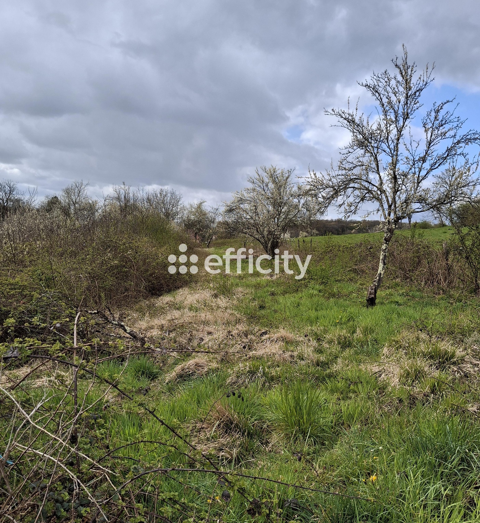 terrain  - 1810m2 à Rougemontot (25640)