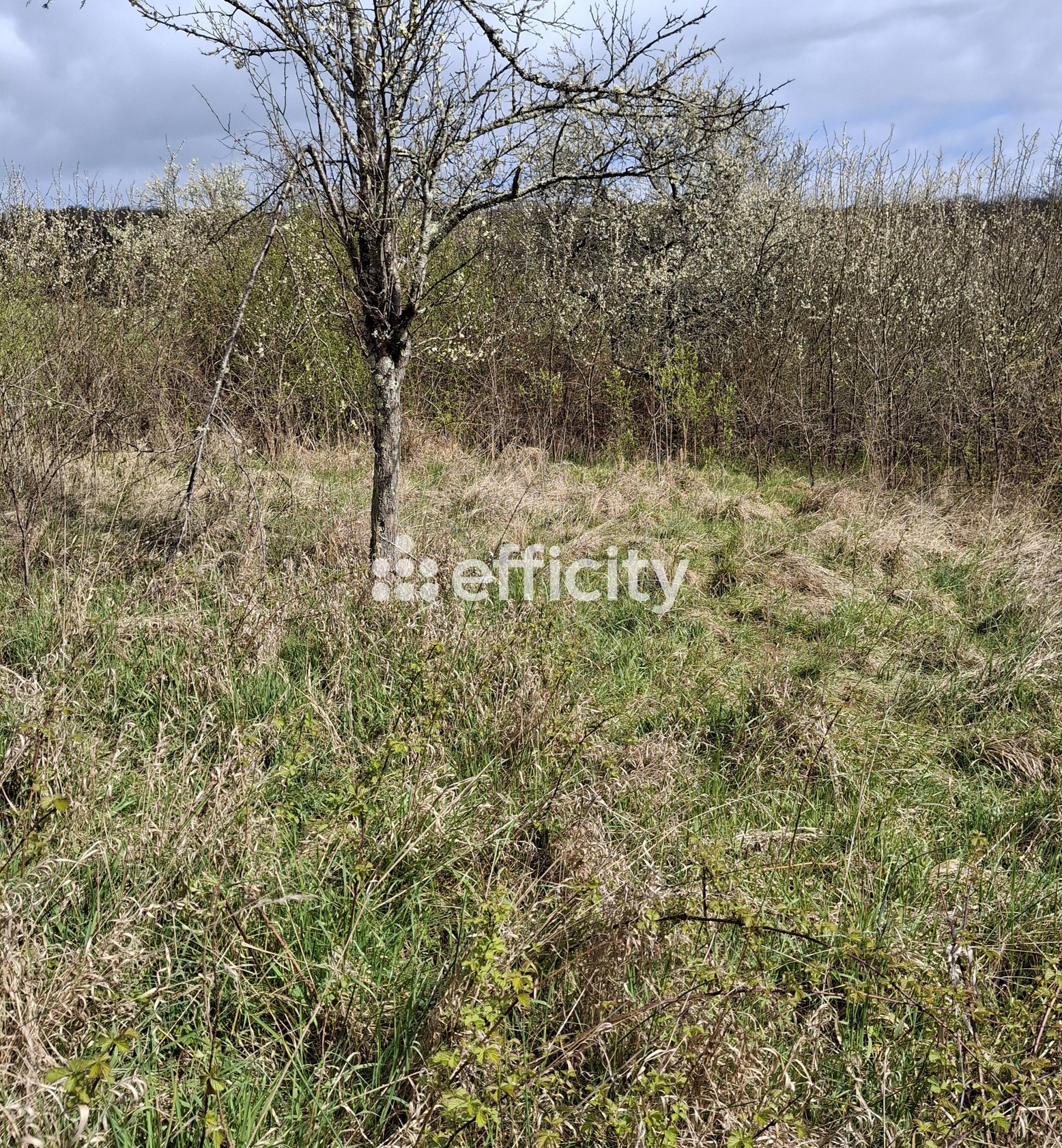 terrain  - 1810,0m2 à Rougemontot (25640)
