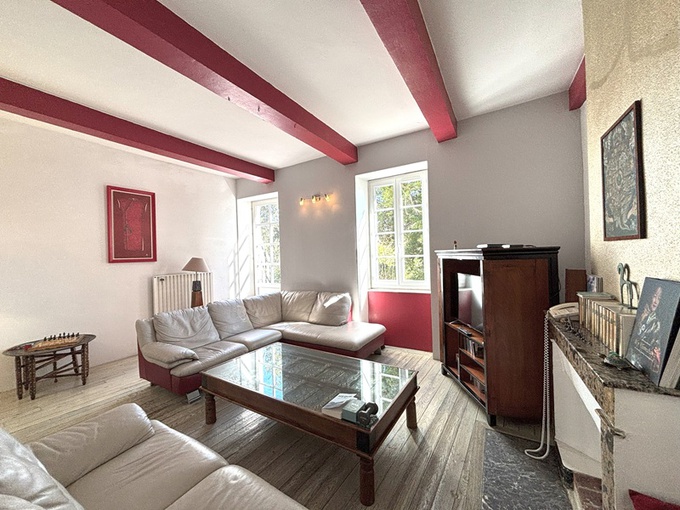 Achat immobilier Maison 11 pièces  265m2 à Pont-Saint-Esprit (30130) - Photo n°6