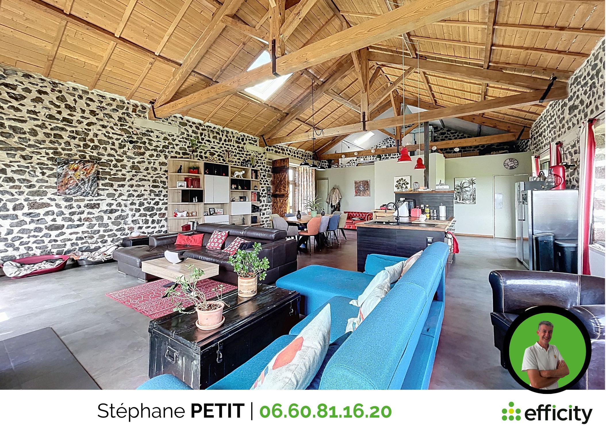 Achat immobilier Maison 13 pièces  367m2 à Alleyrac (43150) - Photo n°11