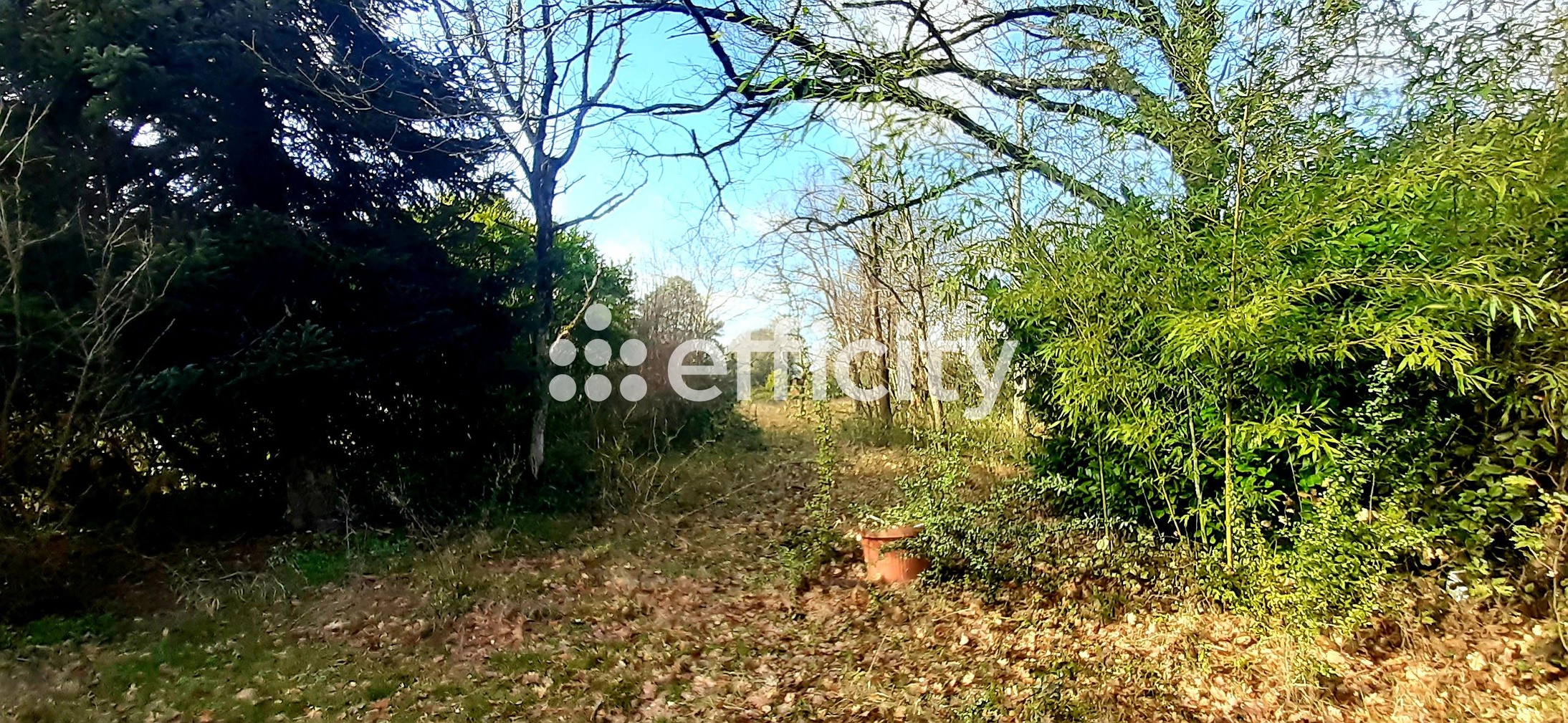 Achat immobilier Maison 5 pièces  157m2 à Labastide-Saint-Sernin (31620) - Photo n°5