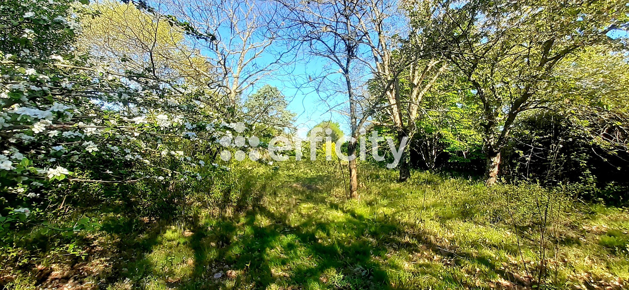 Achat immobilier Maison 5 pièces  157m2 à Labastide-Saint-Sernin (31620) - Photo n°6