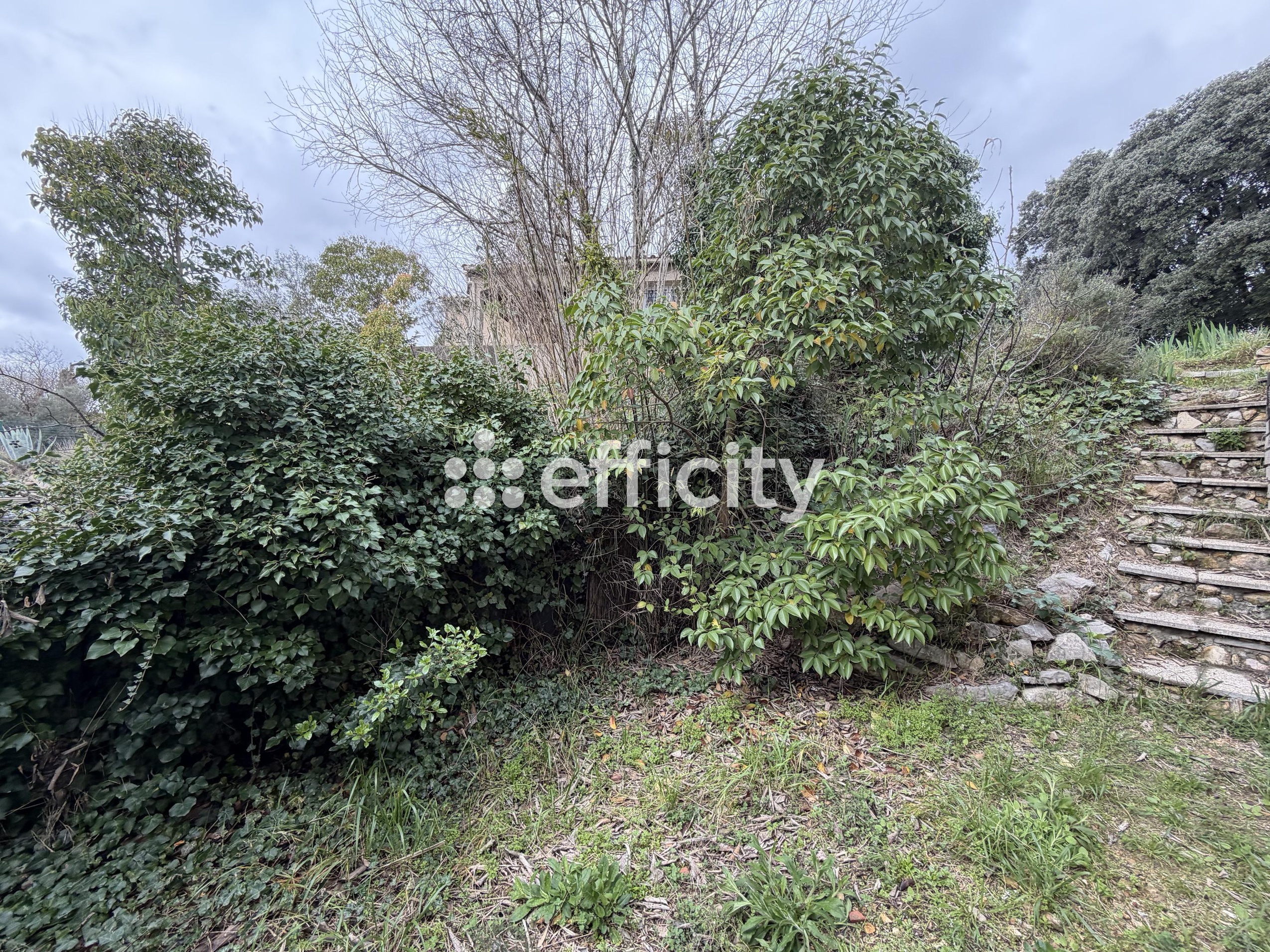 Achat immobilier Maison 3 pièces  80m2 à Castelnau-le-Lez (34170) - Photo n°8