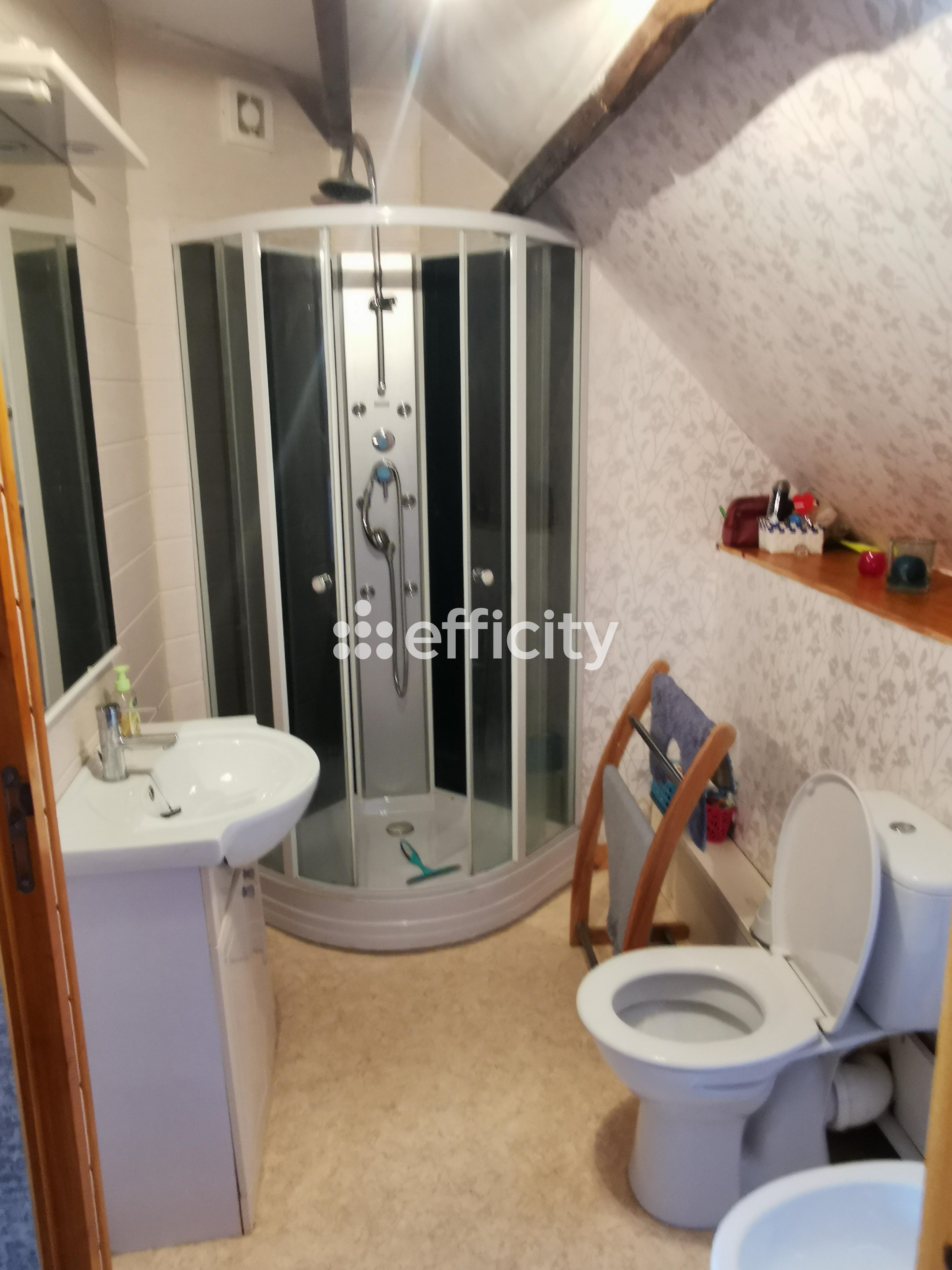 Achat immobilier Maison 14 pièces  340m2 à Saint-Michel-de-Montjoie (50670) - Photo n°35