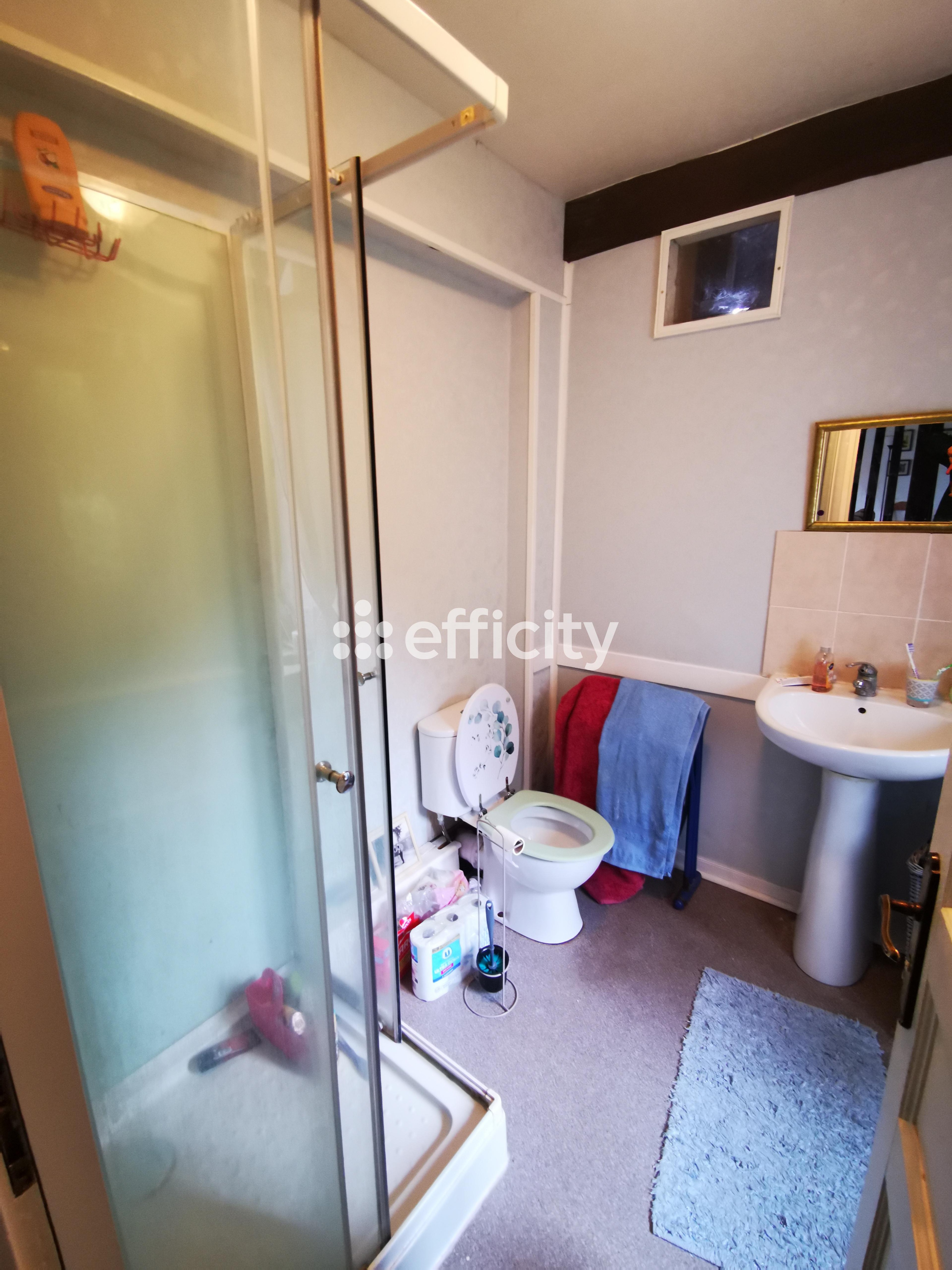 Achat immobilier Maison 14 pièces  340m2 à Saint-Michel-de-Montjoie (50670) - Photo n°14