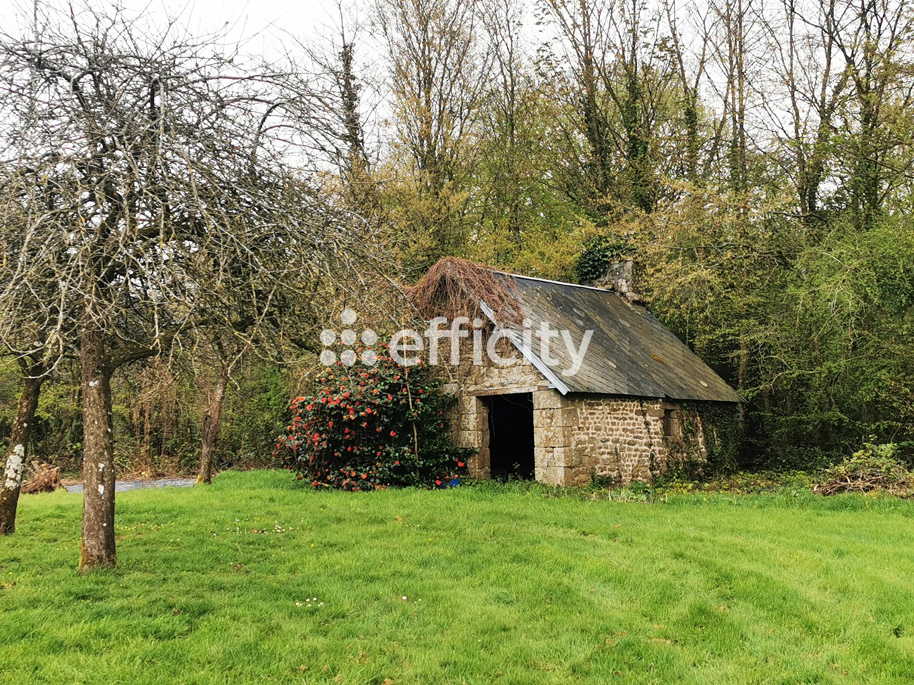 Achat immobilier Maison 14 pièces  340m2 à Saint-Michel-de-Montjoie (50670) - Photo n°45