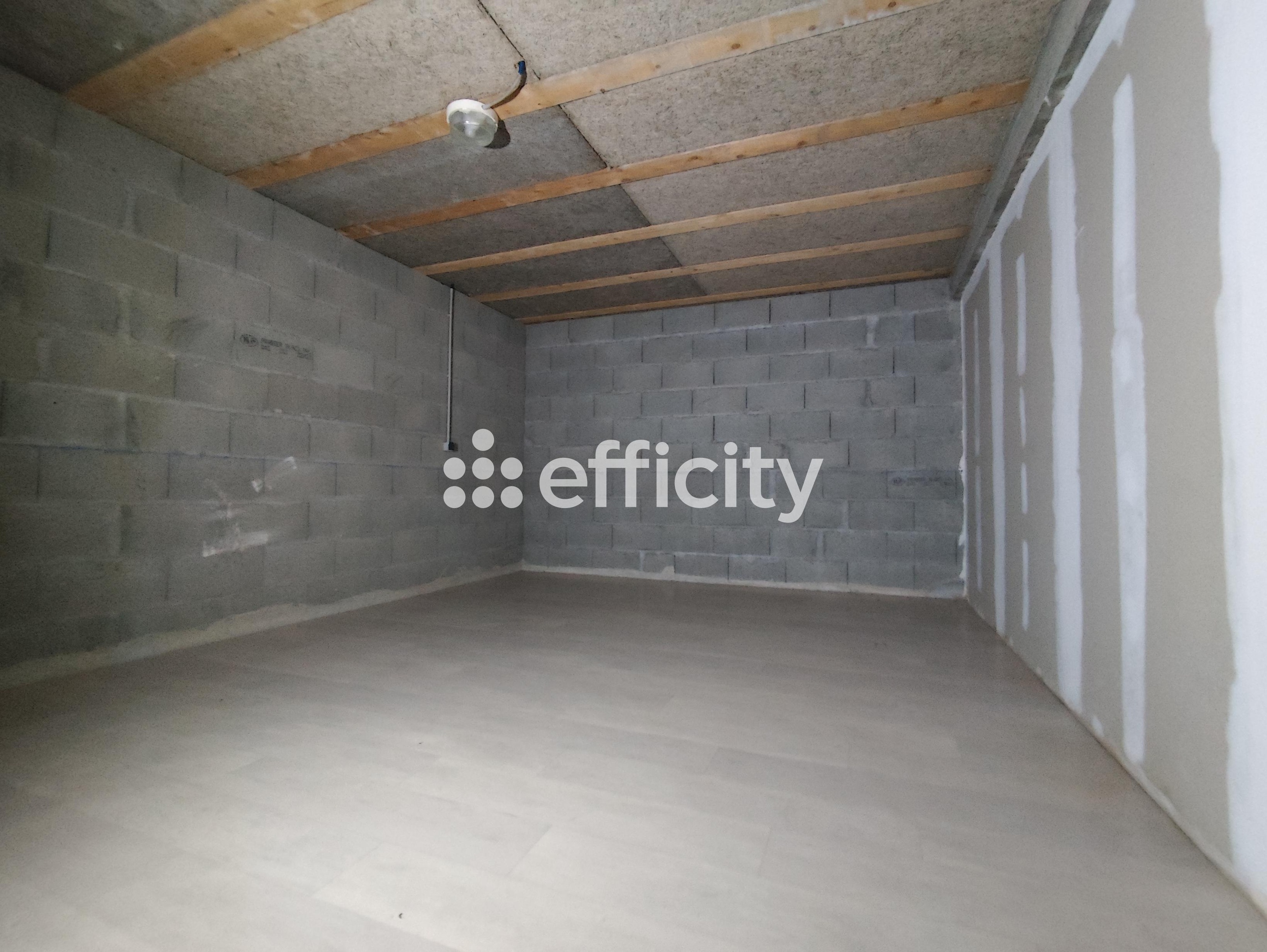 Achat immobilier Maison 5 pièces  97m2 à Cessieu (38110) - Photo n°13