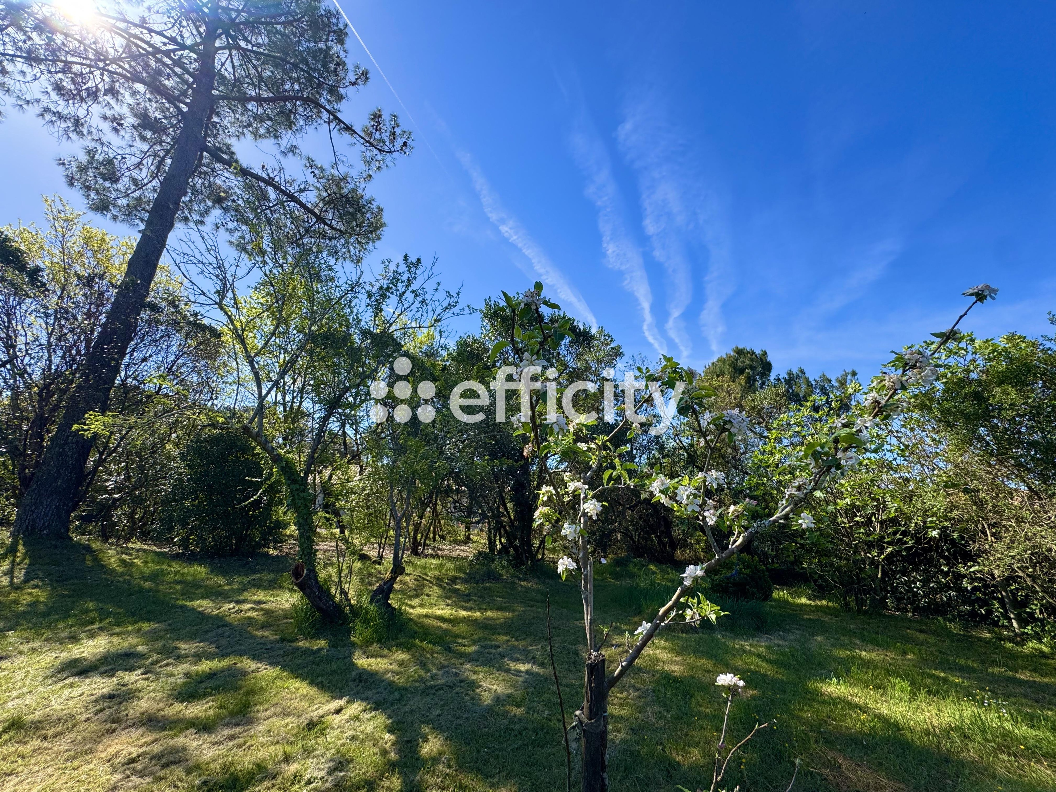 Photo illustration
