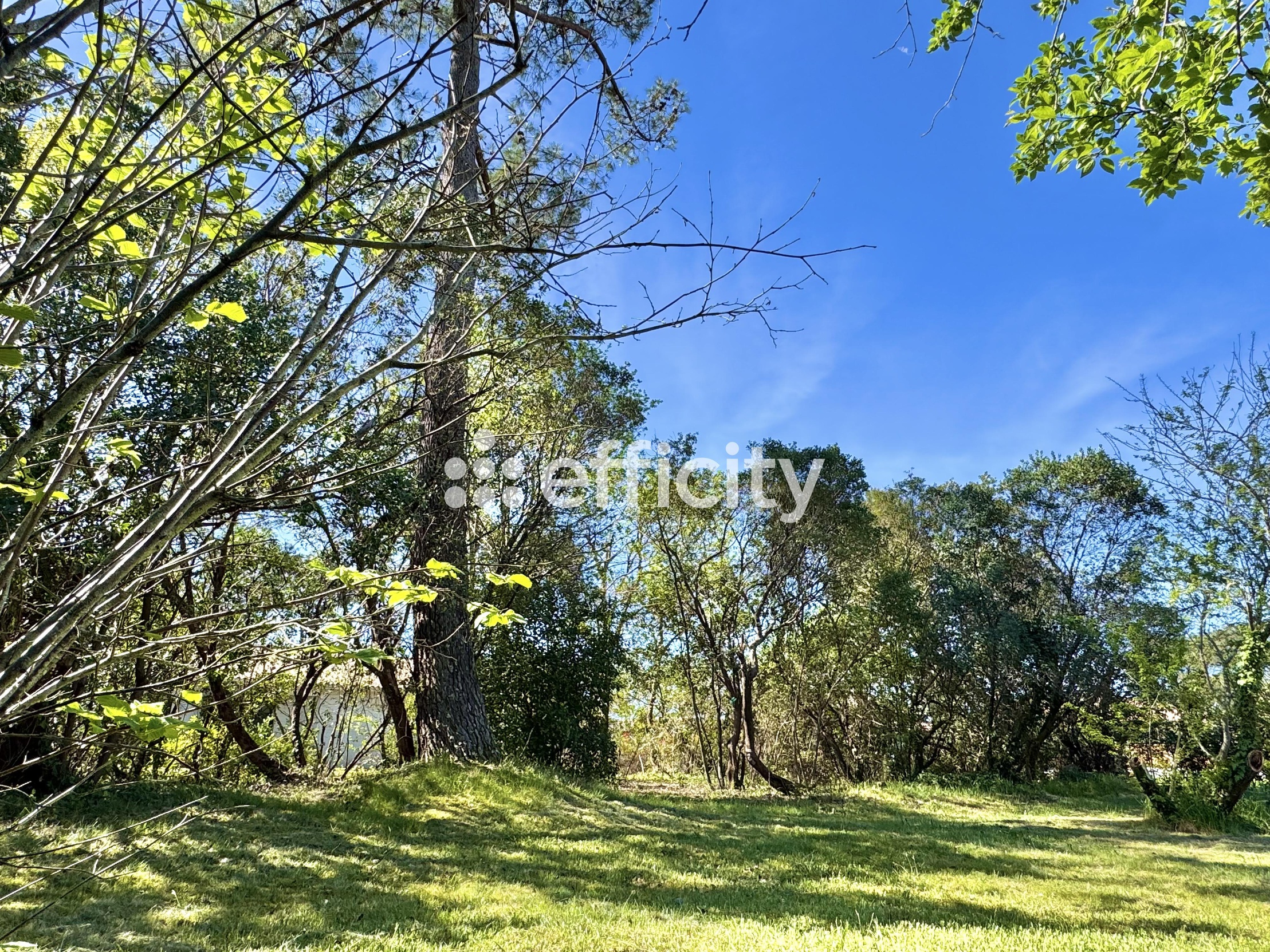 terrain  - 1000m2 à La Teste-de-Buch (33260)