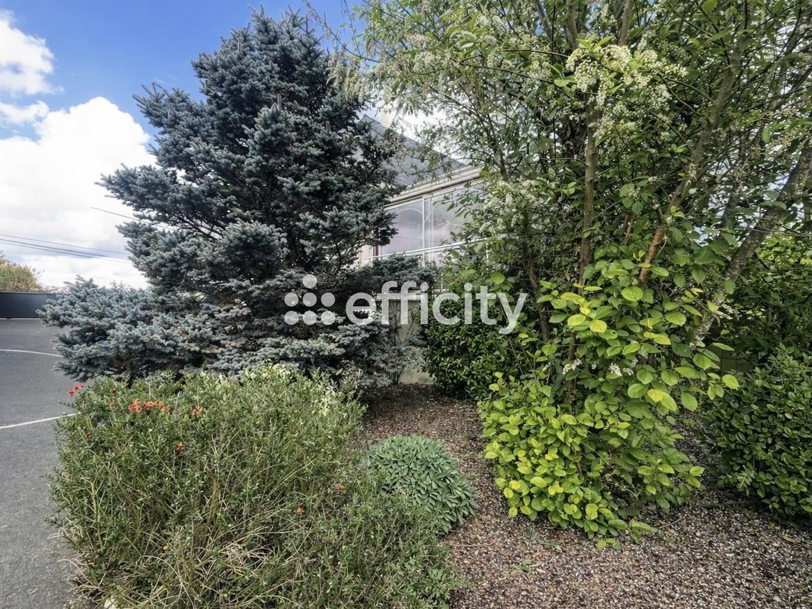Achat immobilier Maison 7 pièces  186m2 à Francueil (37150) - Photo n°13