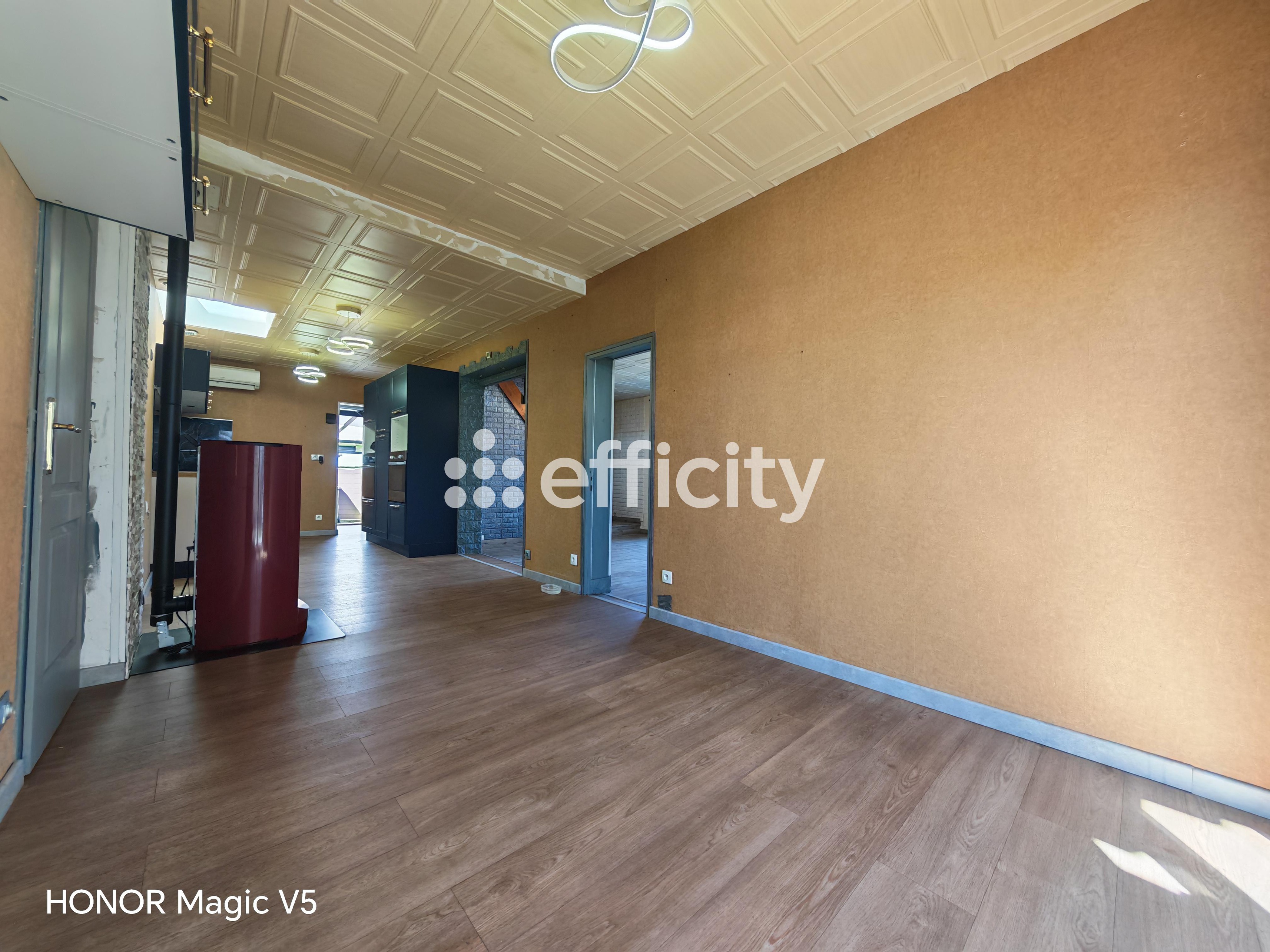Achat immobilier Maison 6 pièces  177m2 à Bourges (18000) - Photo n°6