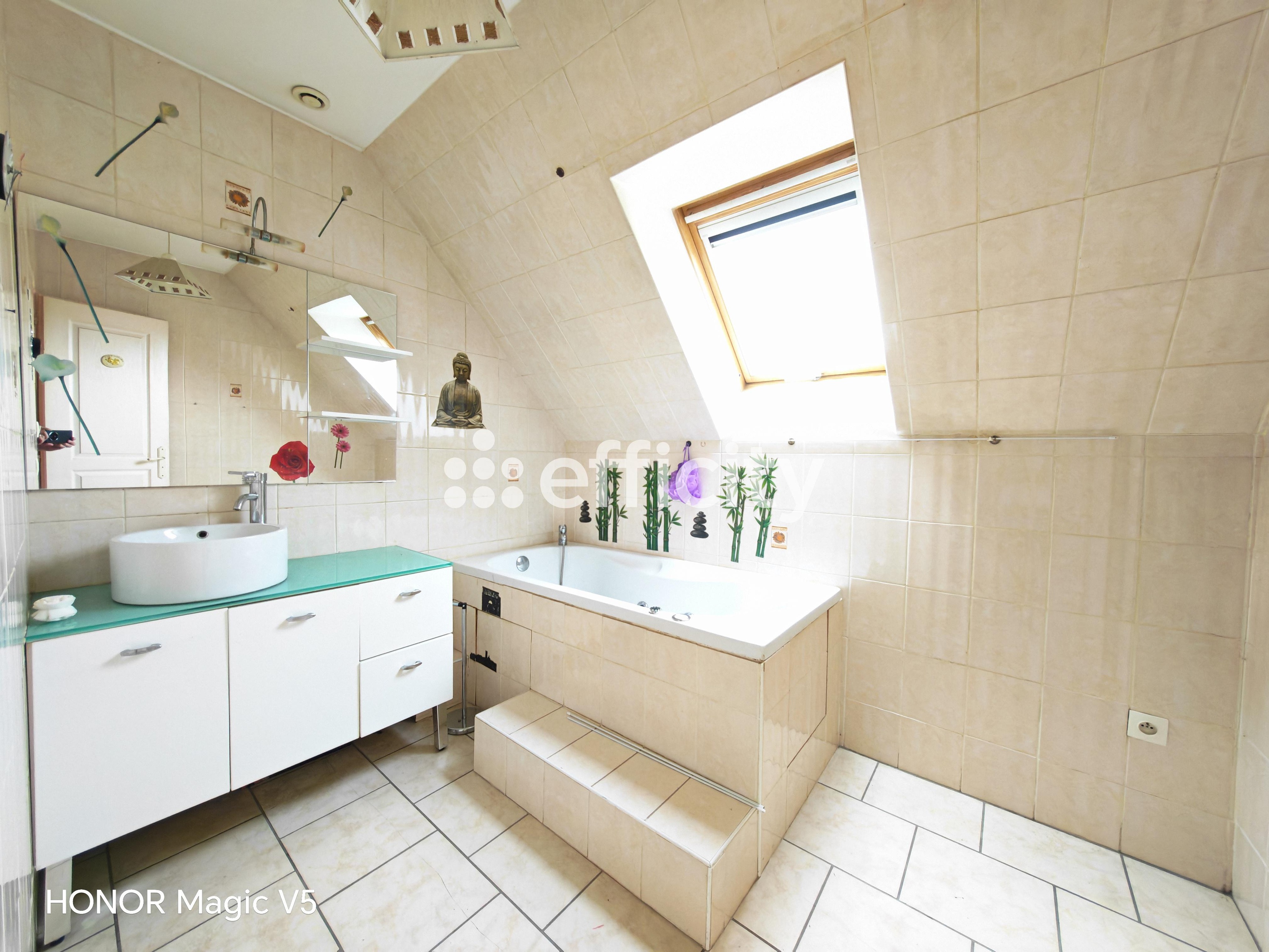 Achat immobilier Maison 6 pièces  177m2 à Bourges (18000) - Photo n°23